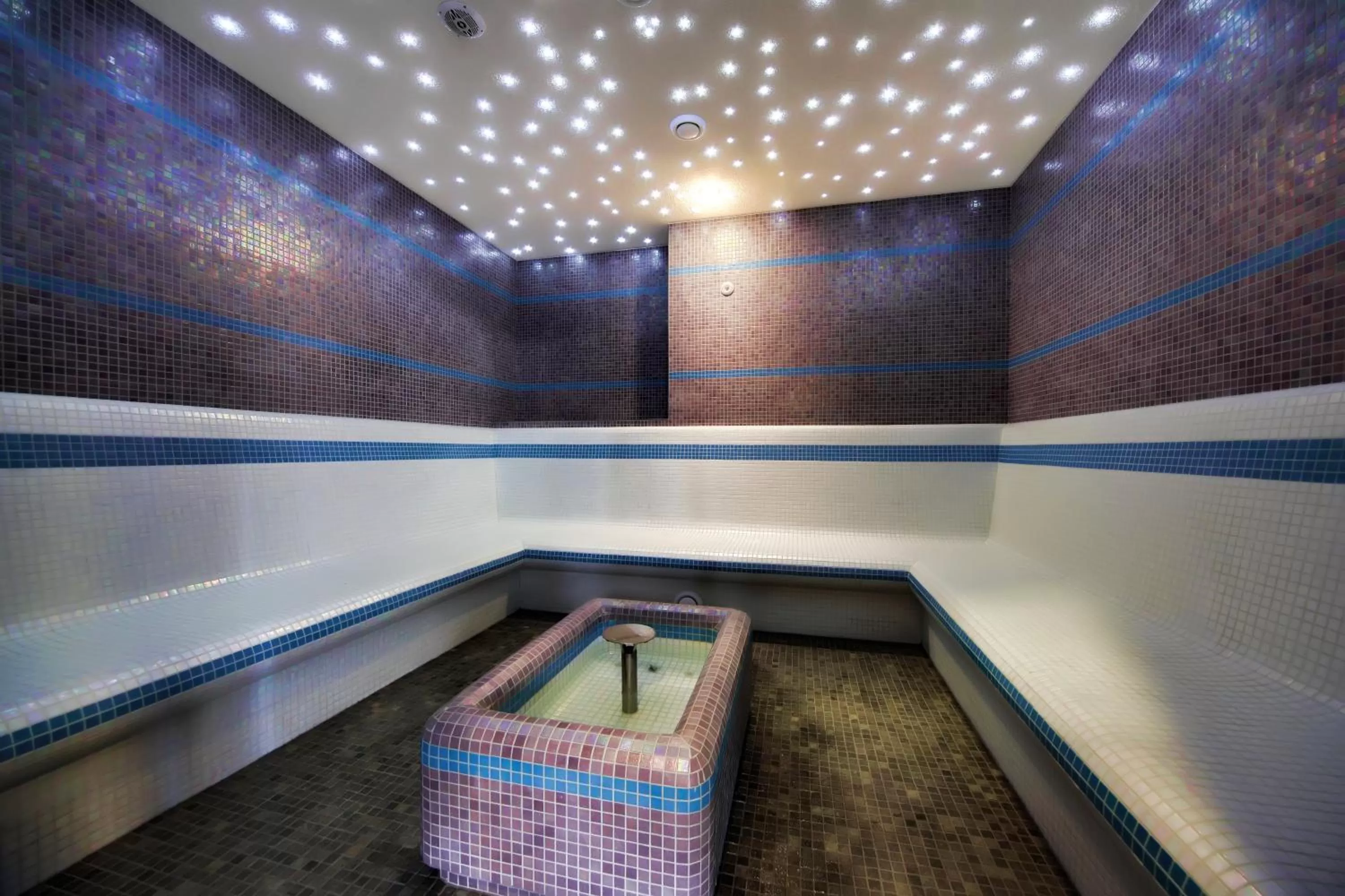 Spa and wellness centre/facilities in Maximus Resort