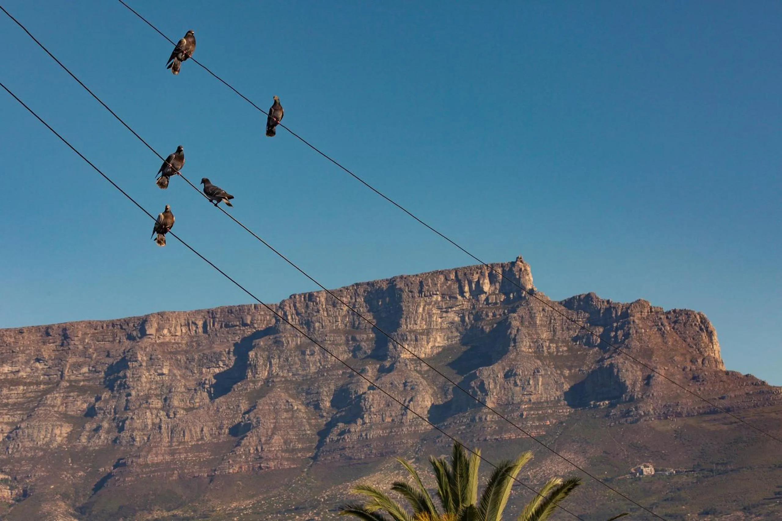 Nearby landmark in Point B Guest House -Sustainable Solar Energy