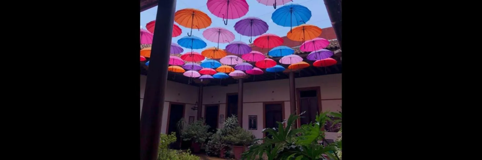 Hotel Villa de Flores