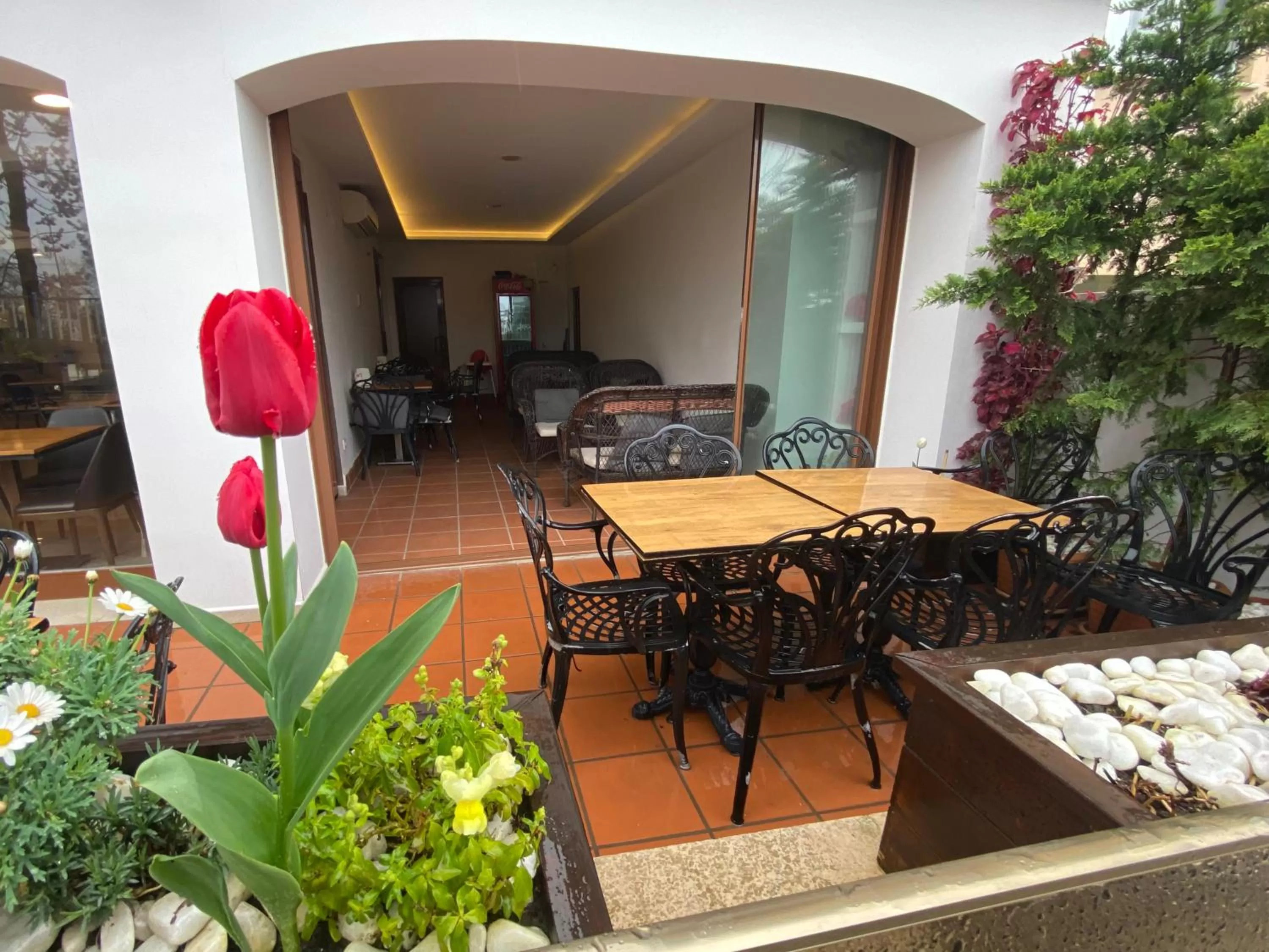 Spring in Blue Sea Hotel