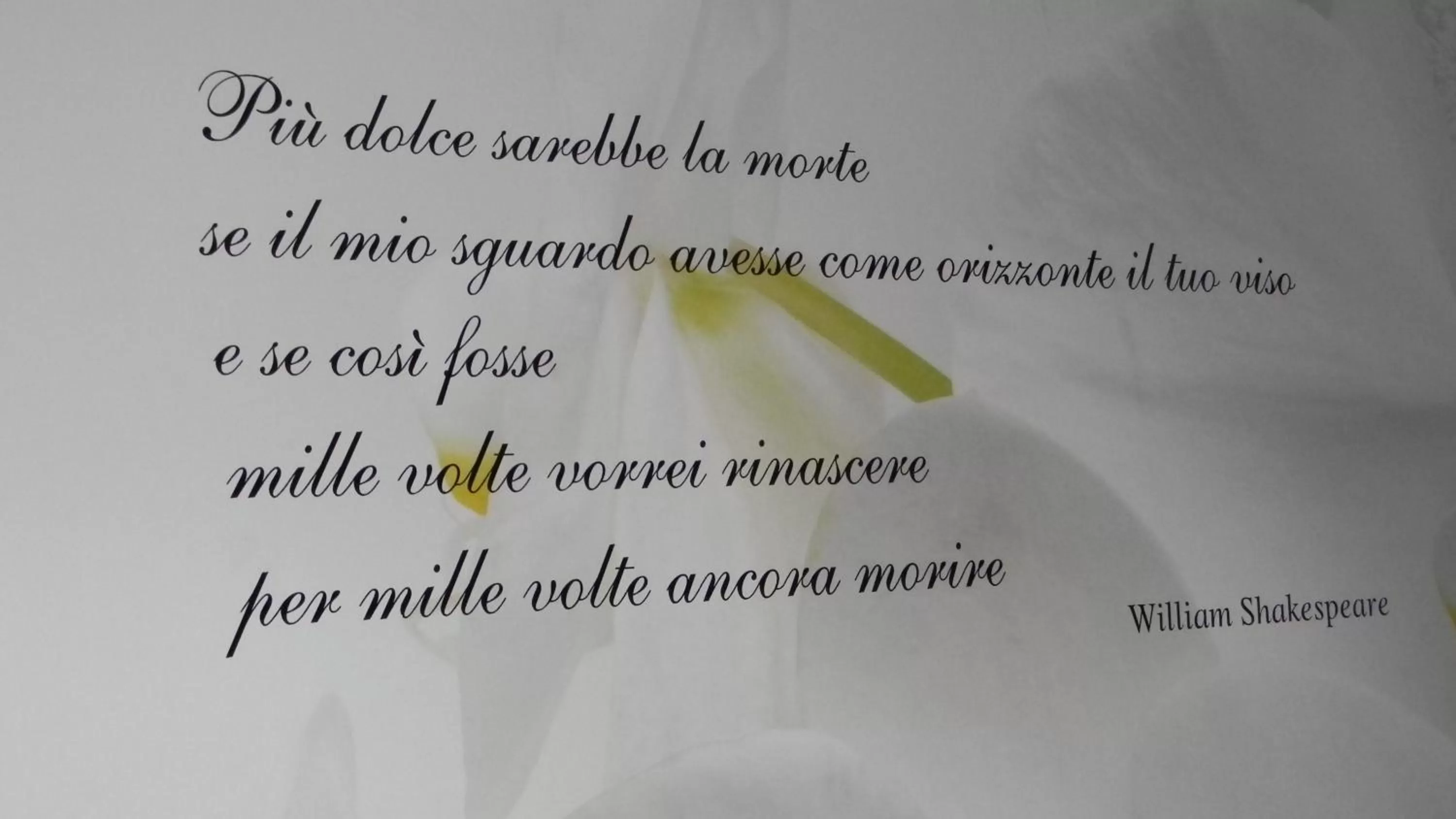 Decorative detail in Grand Hotel Paradiso