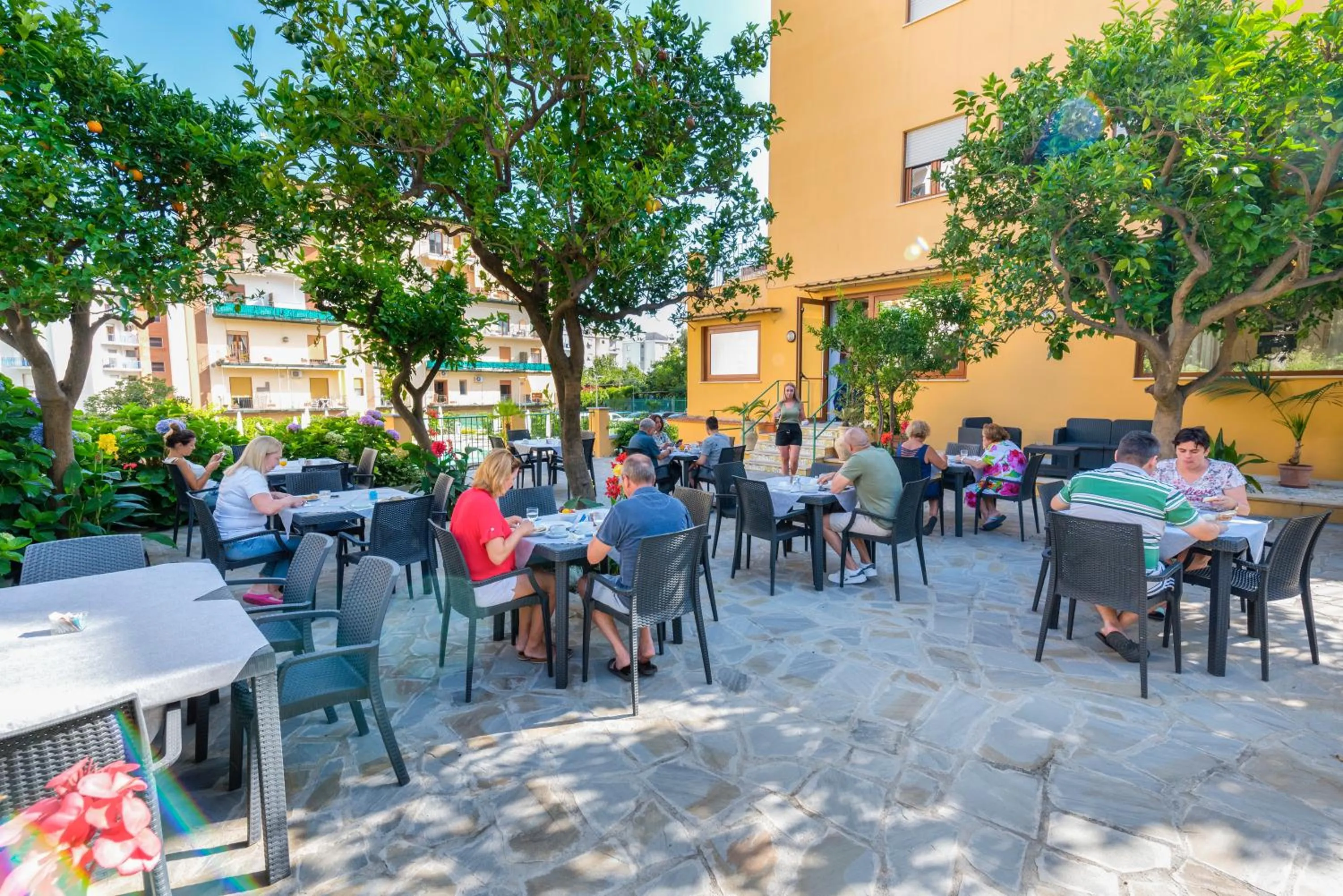 Summer in Hotel Leone