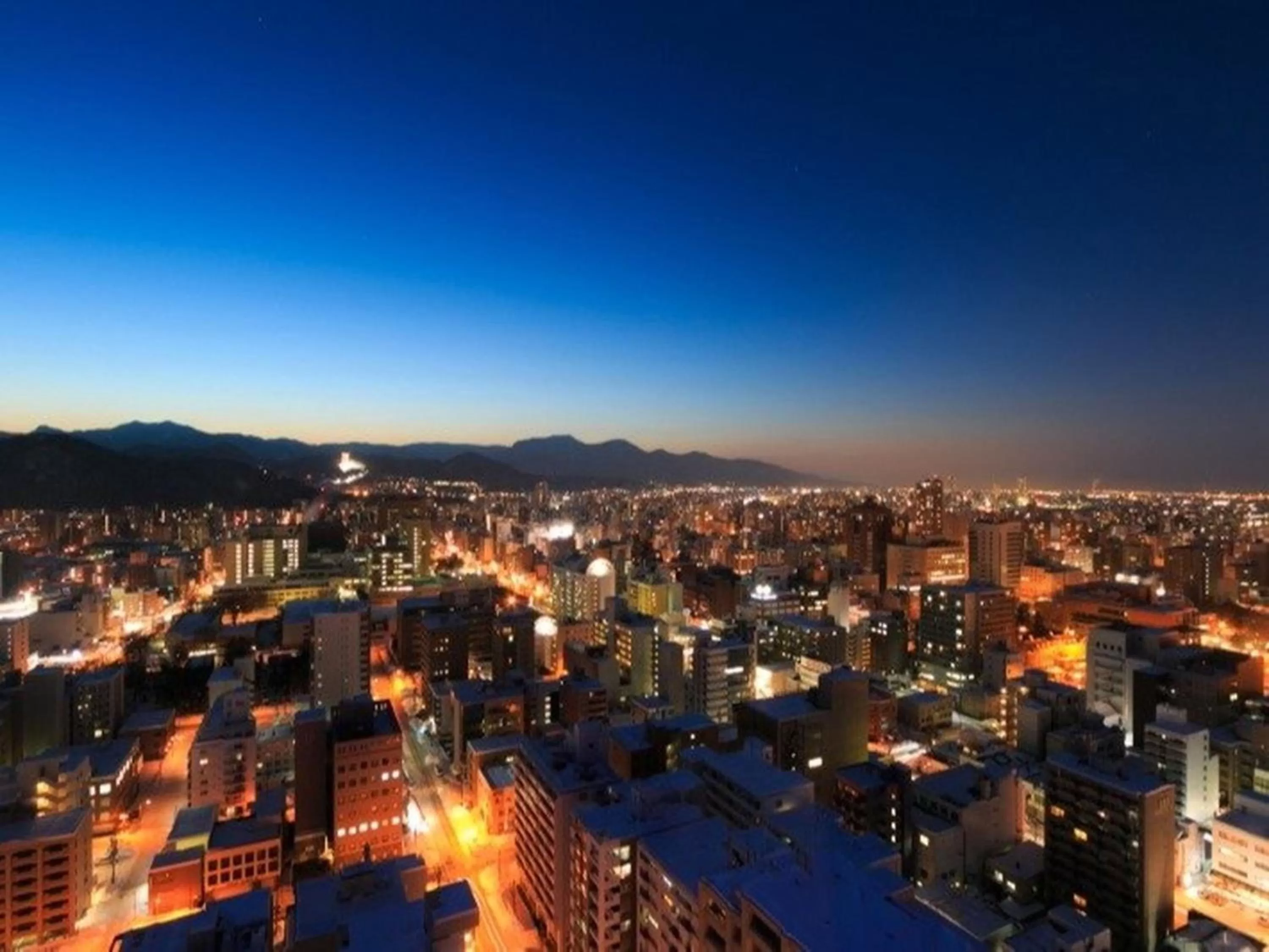 View (from property/room) in Sapporo Prince Hotel