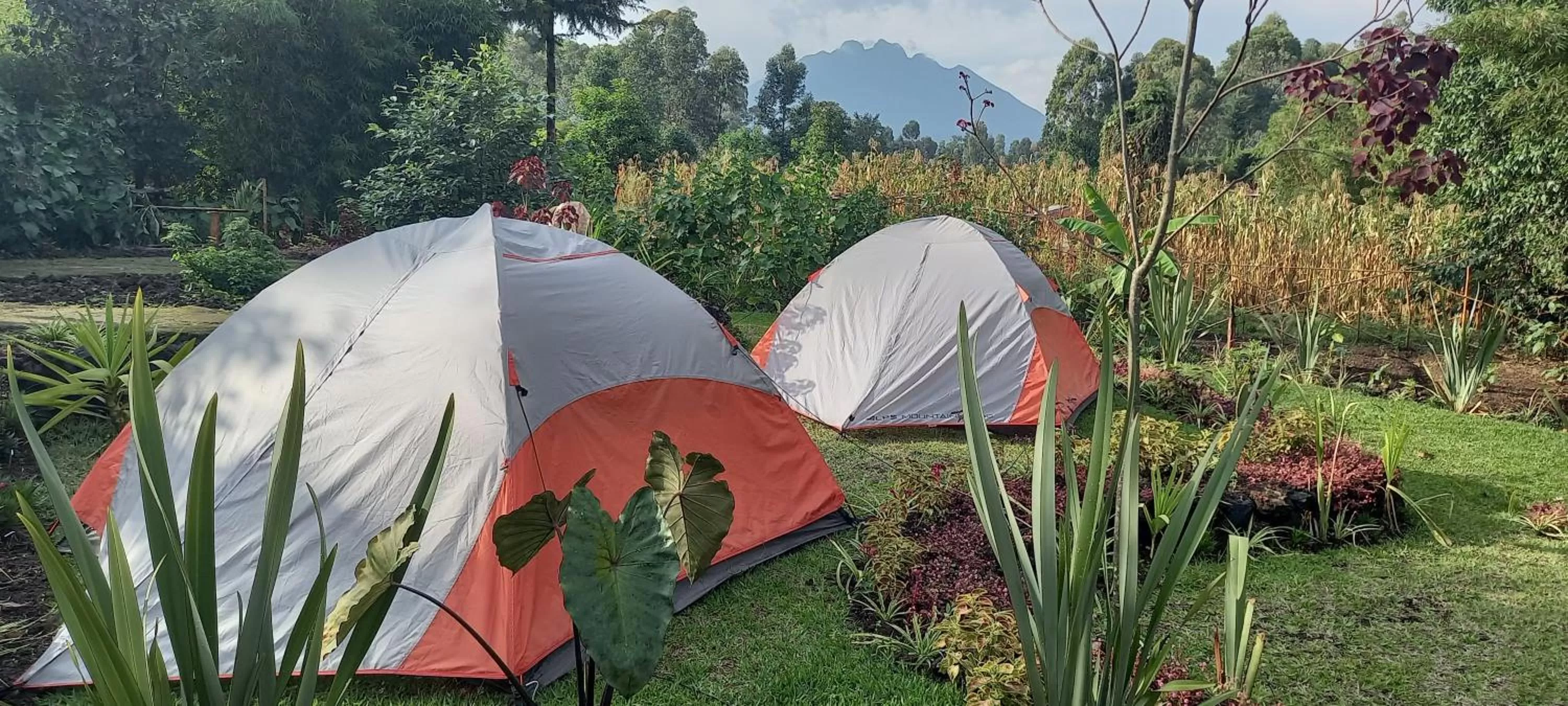 Garden in Fravan Eco Resort By Apogee