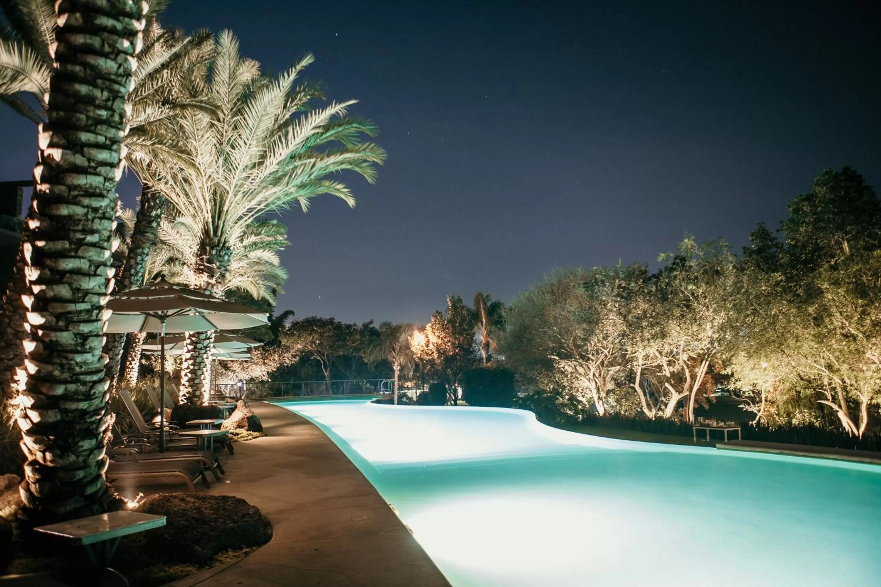 Pool view in Huayacán Cuernavaca Curamoria Collection