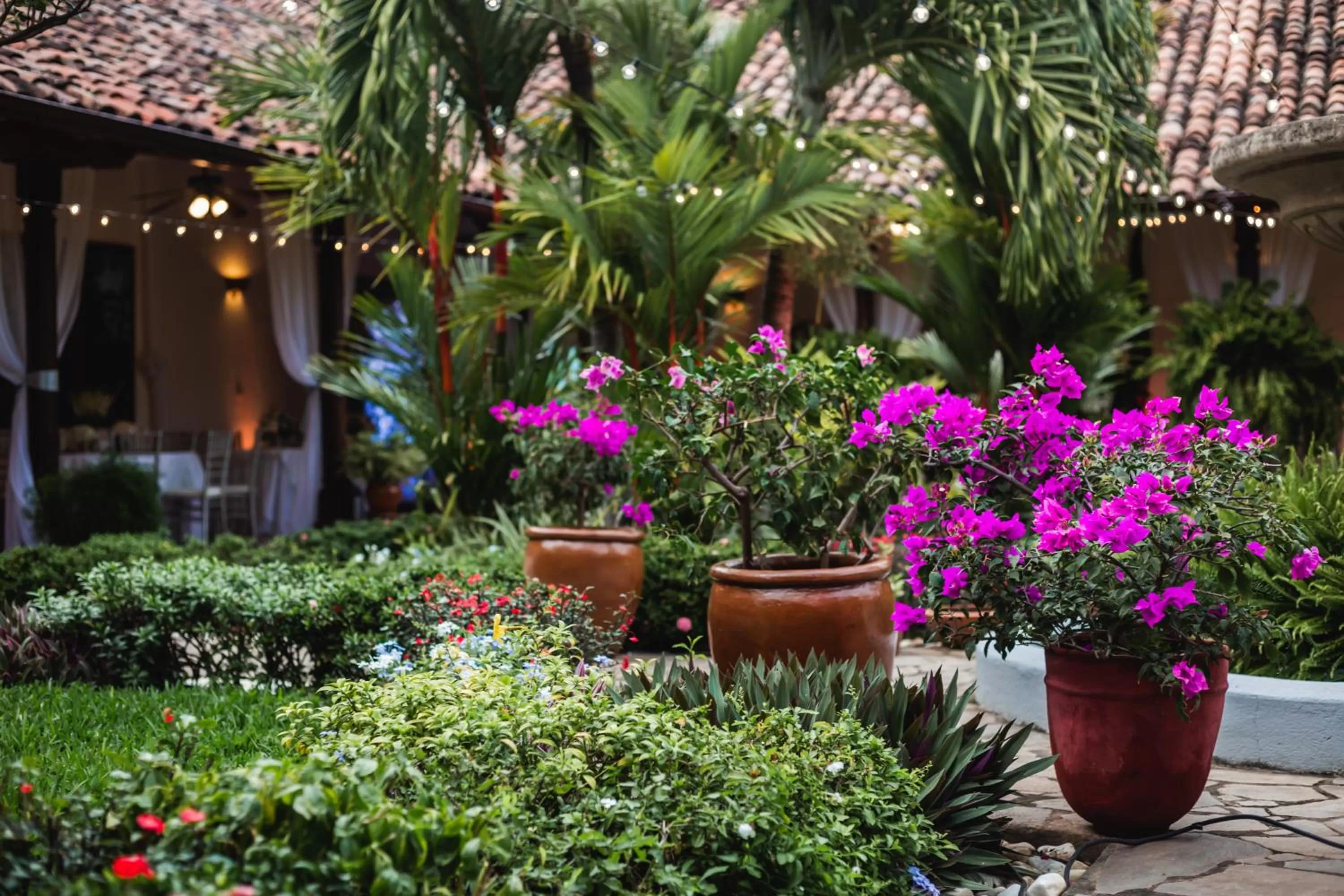 Garden in Hotel Boutique Adela