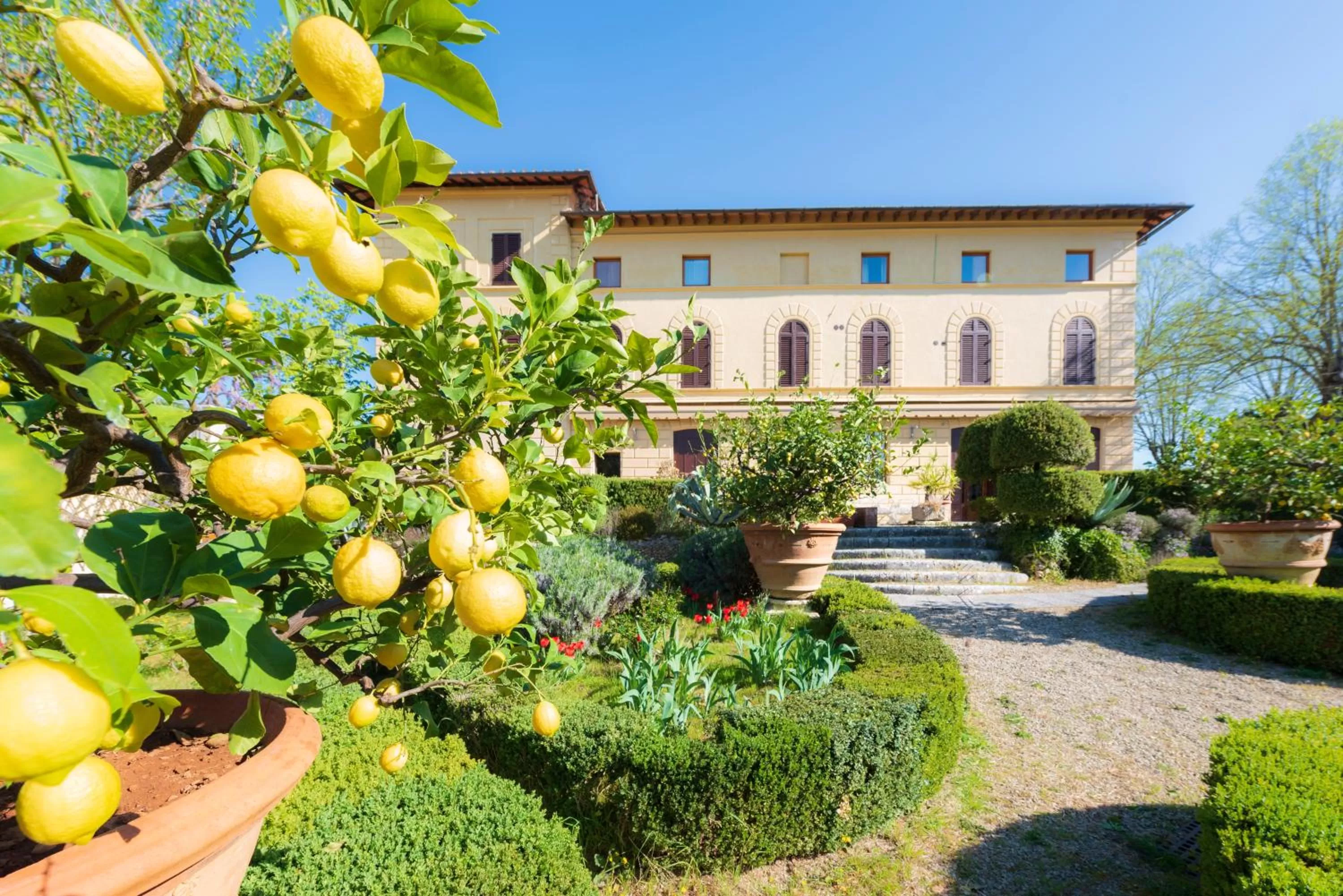 Garden in Villa Scacciapensieri Boutique Hotel