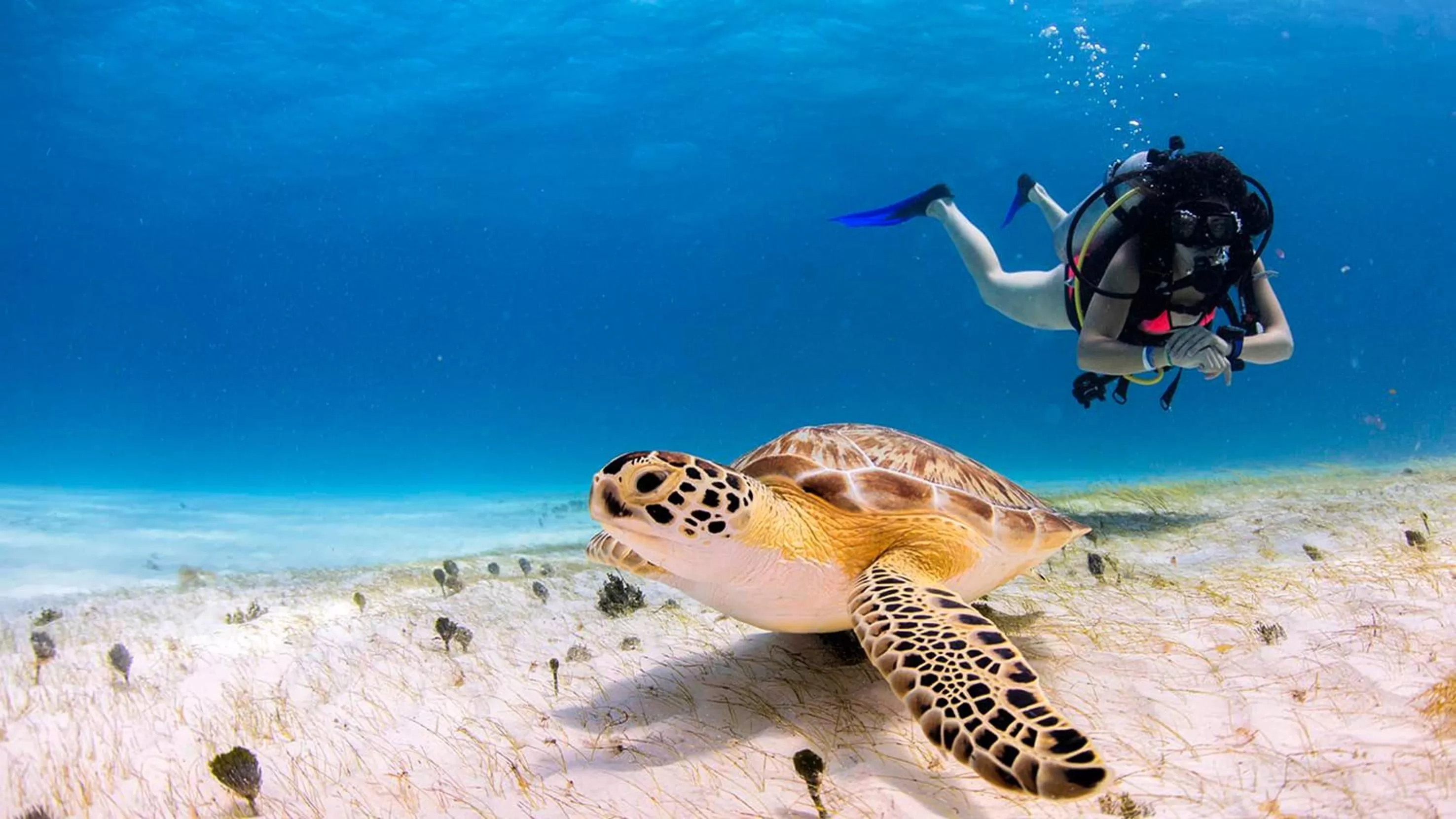 Activities in Secrets Moxché Playa del Carmen - Adults Only - All Inclusive