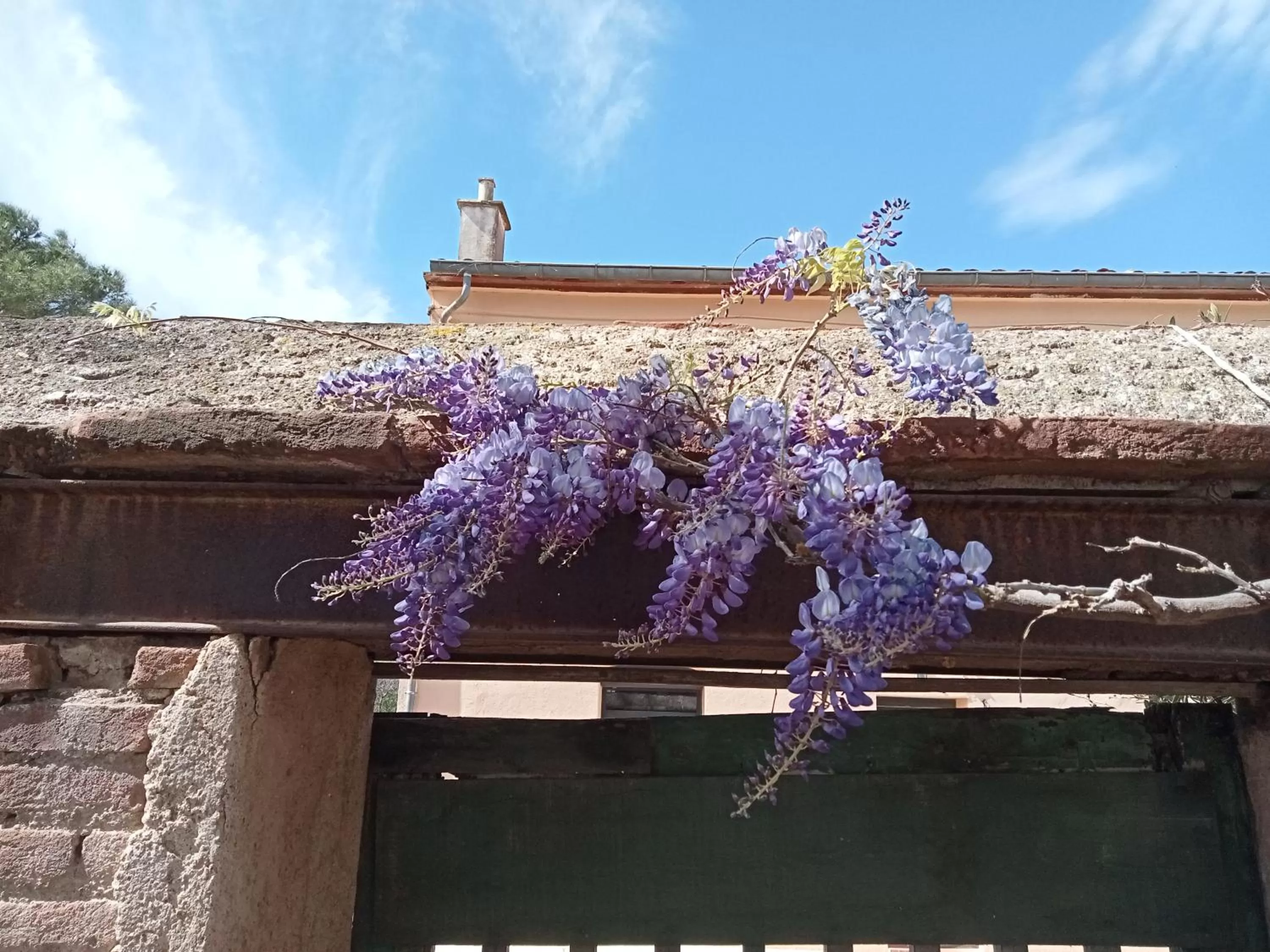 Garden in Mas Palegry Suite aux oiseaux