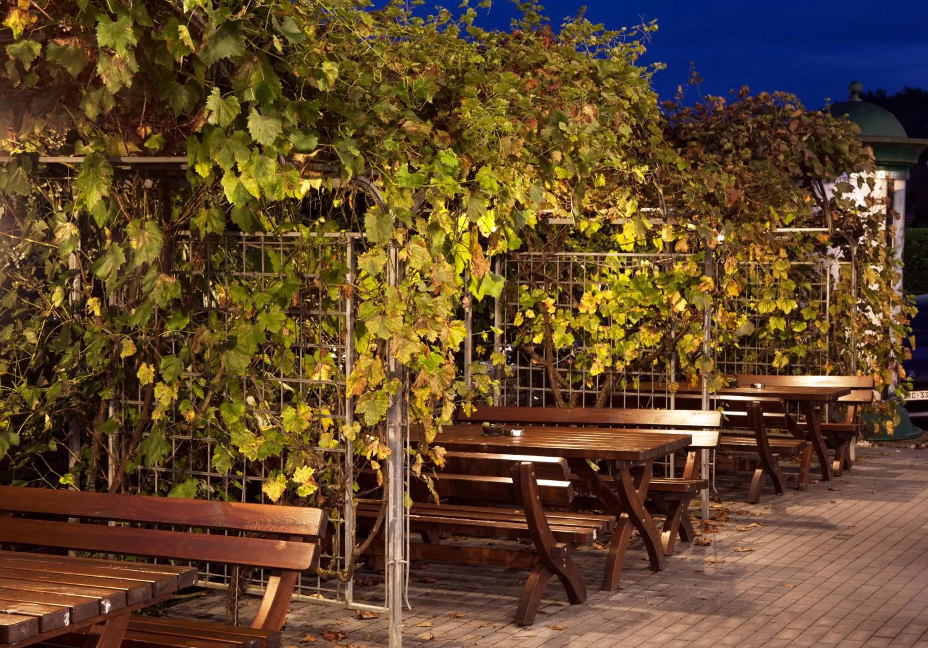 Garden in Moselromantik Hotel Am Panoramabogen