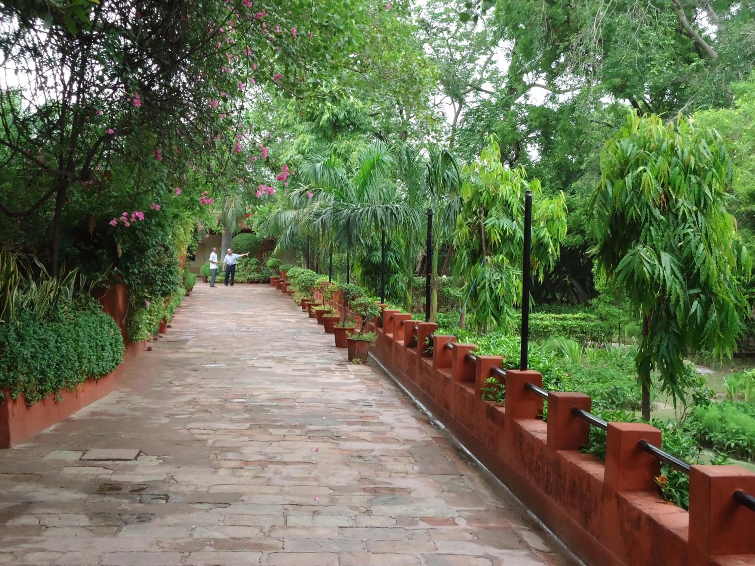 Day in Hotel Sheela, 100m from Taj Mahal