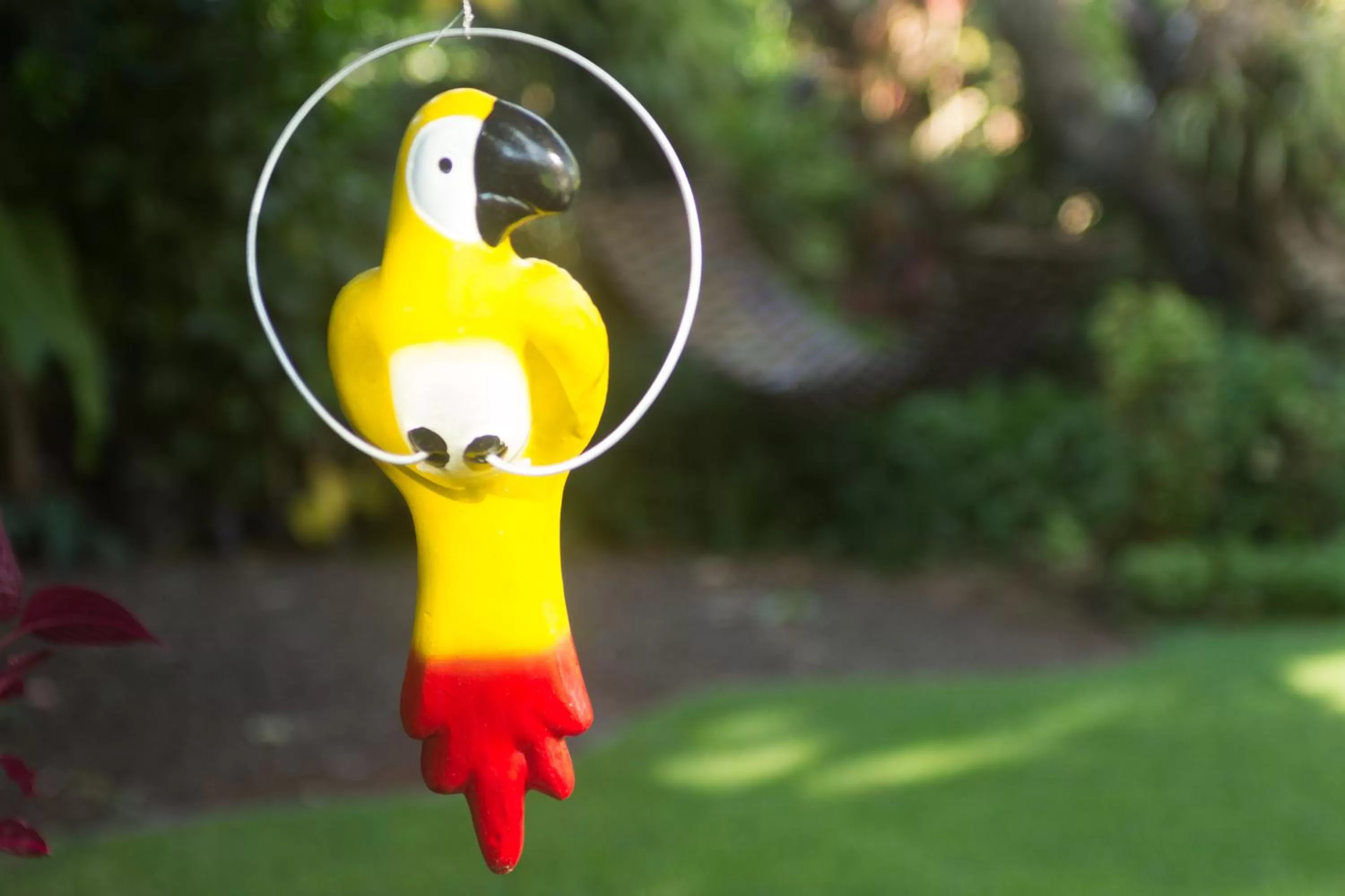 Other in Las Orquideas Parque Hotel