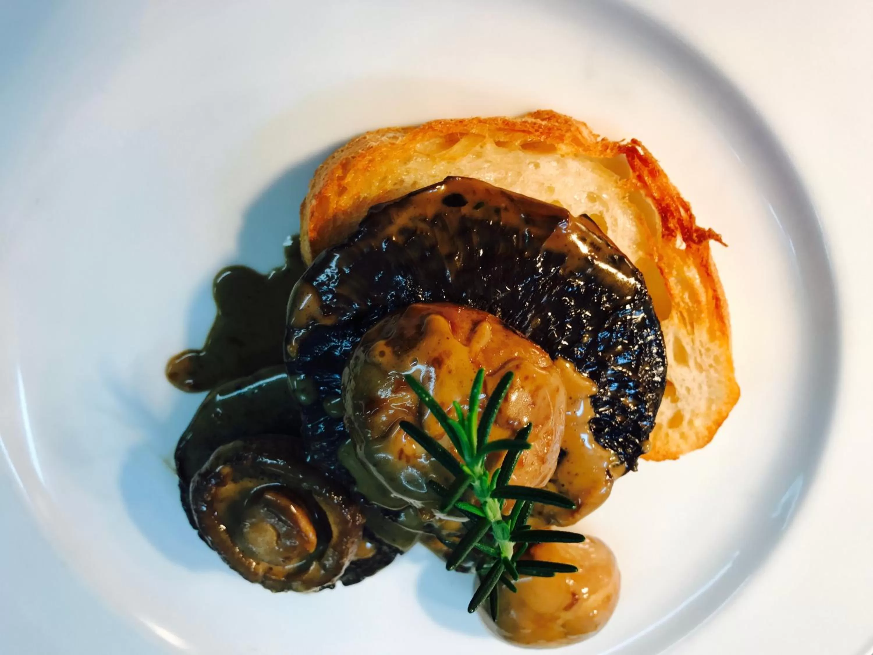 Restaurant/places to eat in The Nautilus