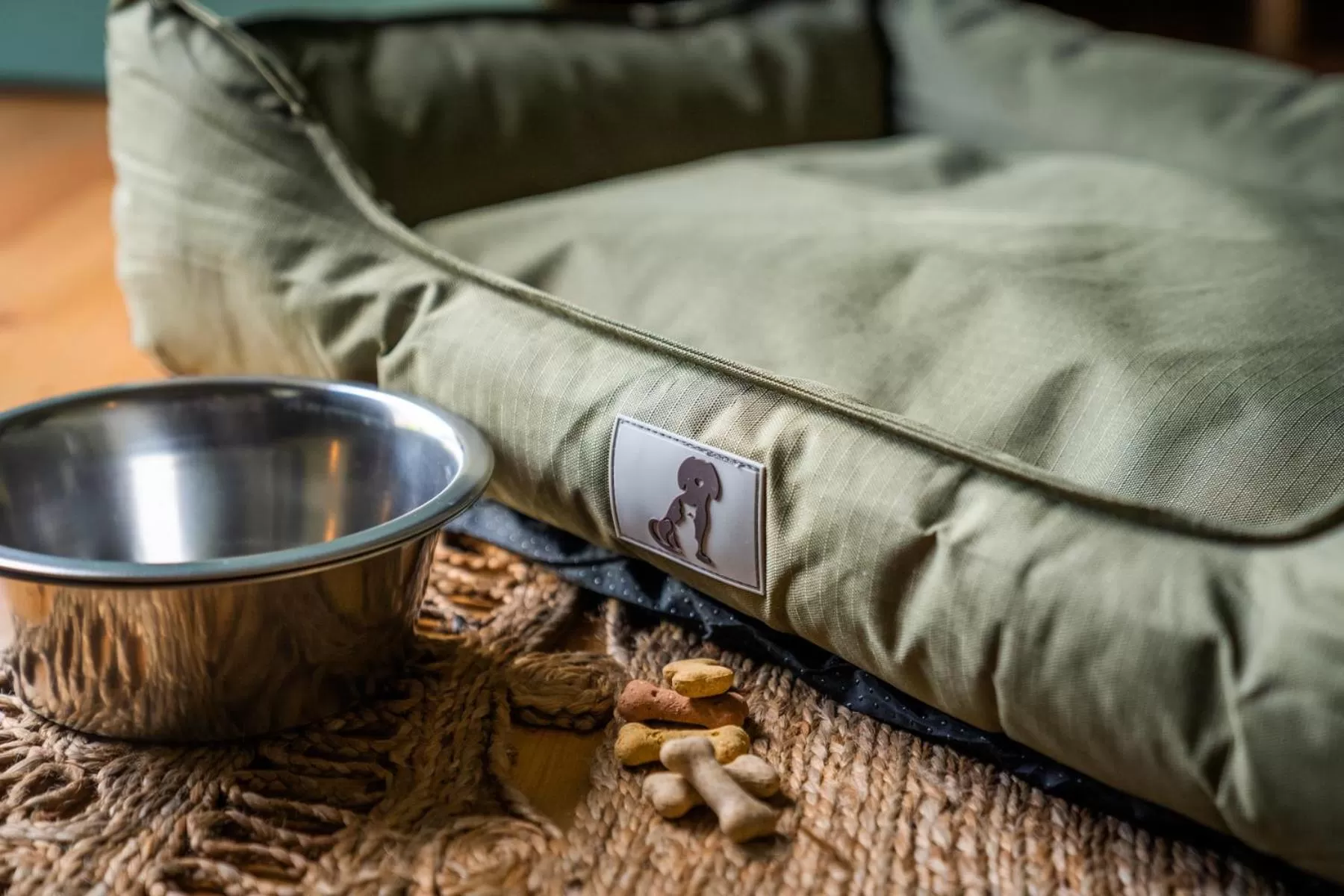 Pets in The Queens Chew Magna