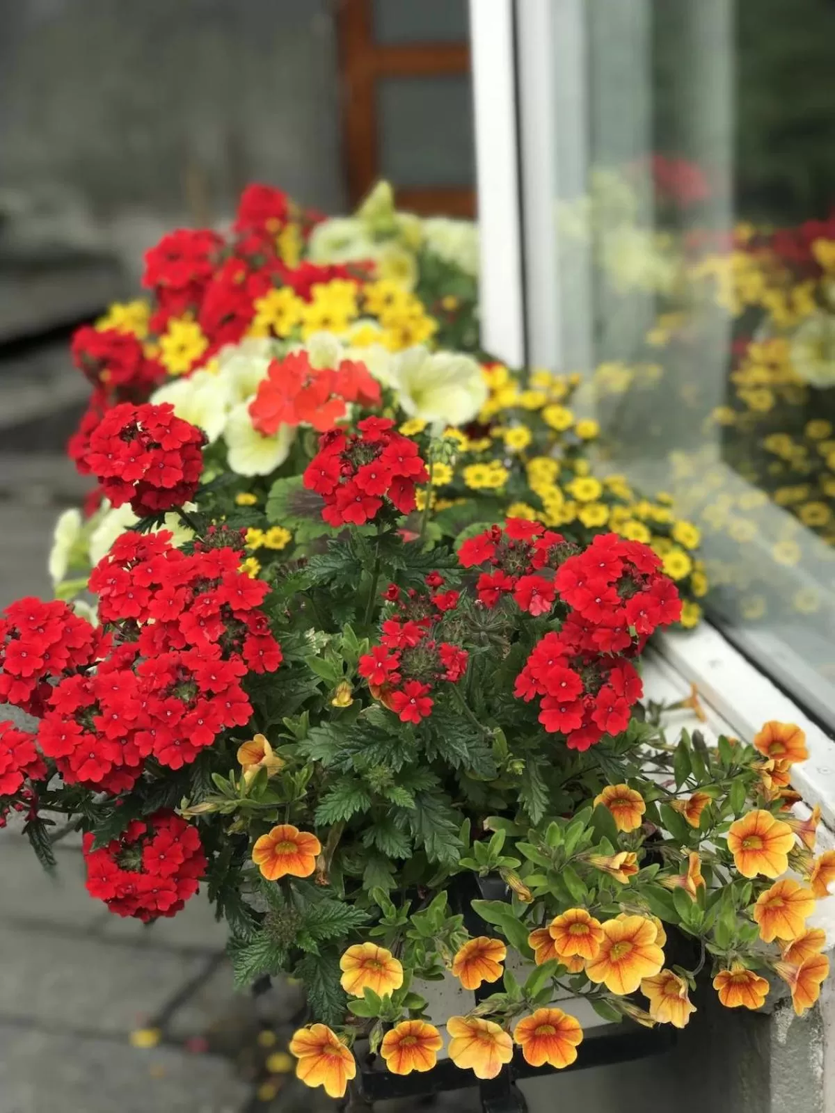 Garden in Snorri's Guesthouse