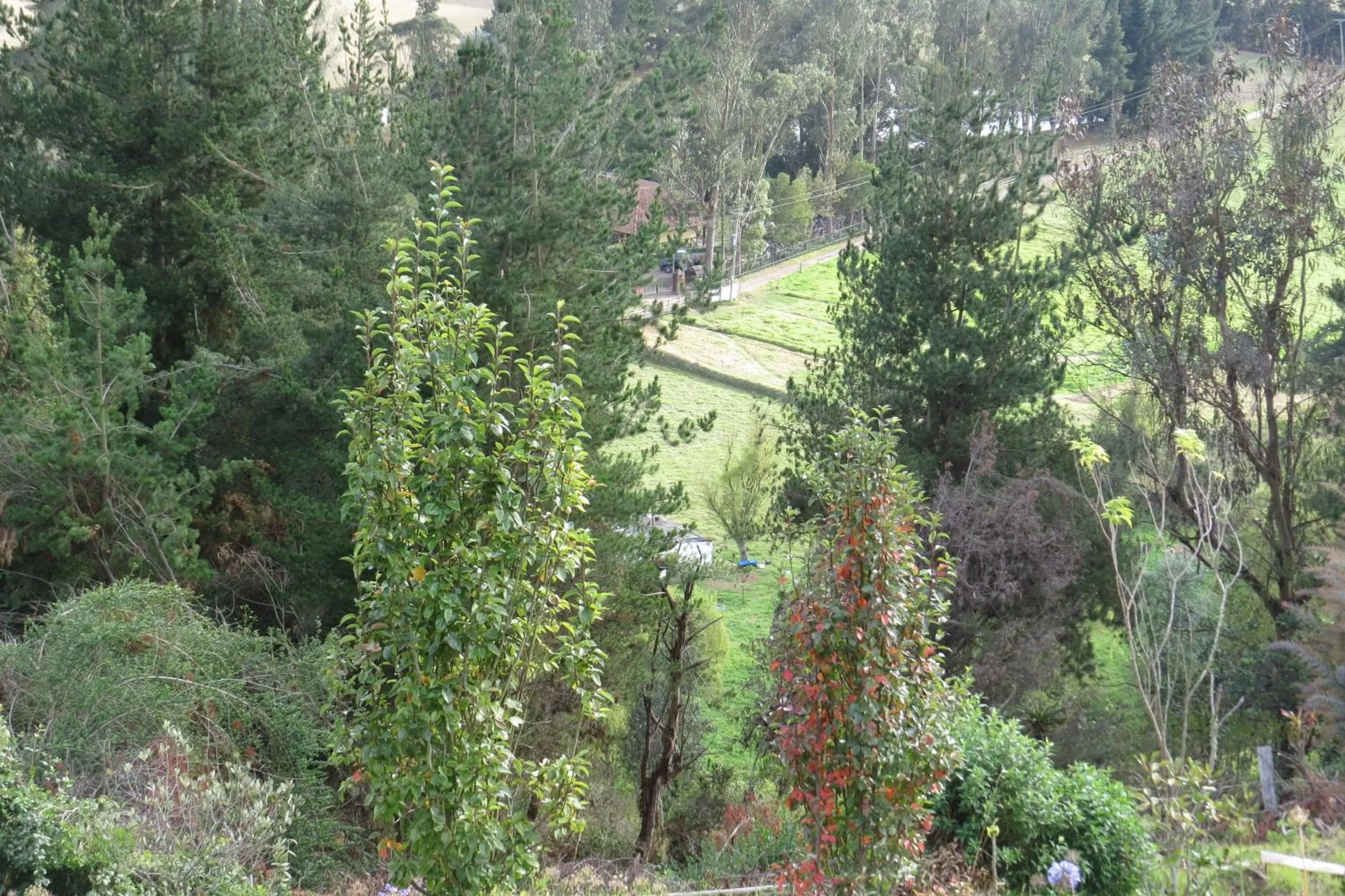 Landmark view in El Pedregal Sopó