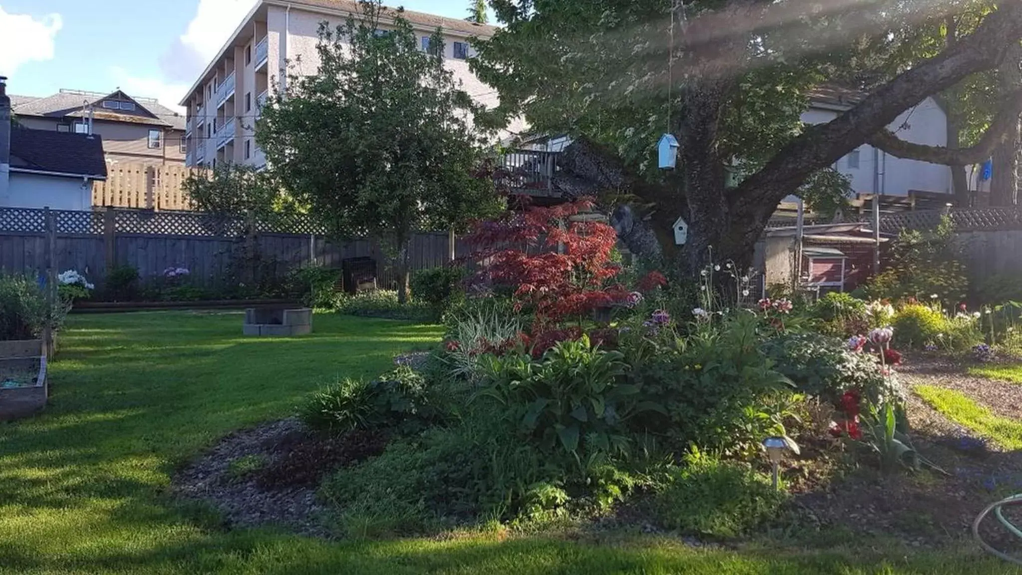 Campbell Cottage B&B Campbell Cottage B&B