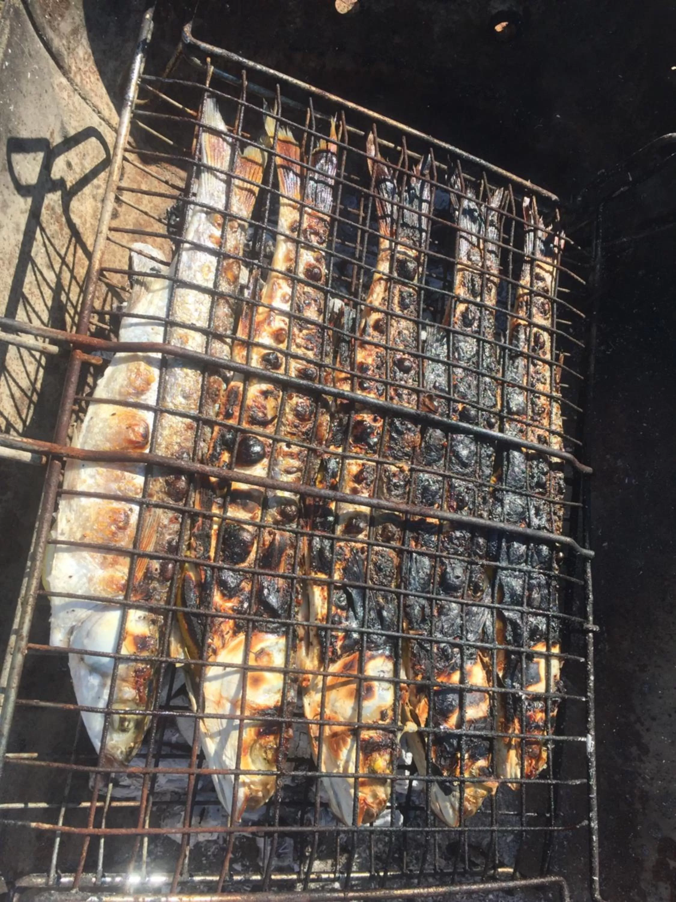 Restaurant/places to eat, BBQ Facilities in Vila Rahmi & Veli Dervishaj