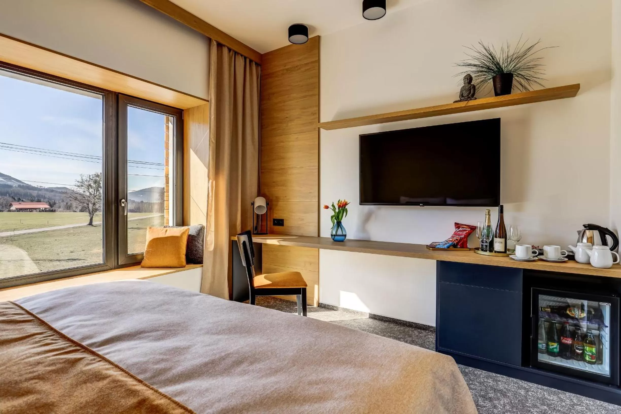 TV and multimedia in Hotel Maralák