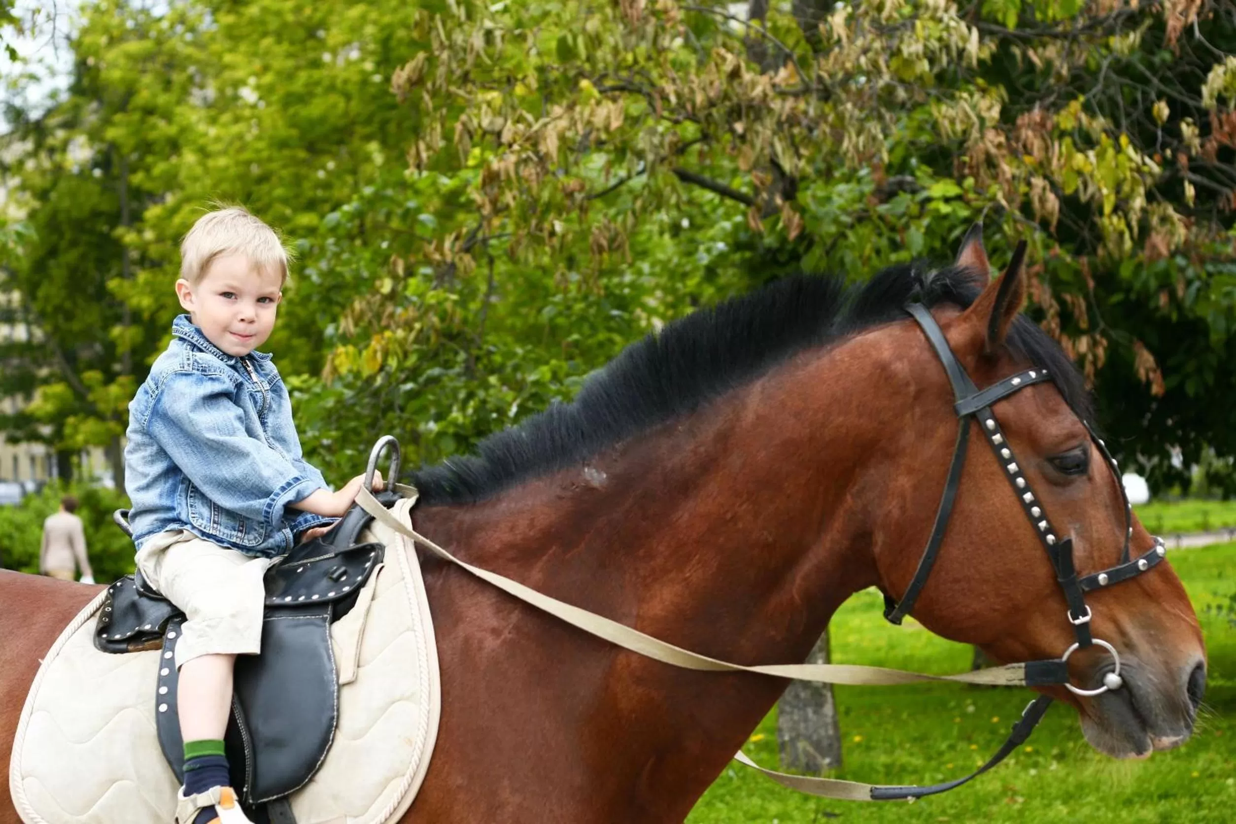 Spring in Hotel Restaurant Les Brases