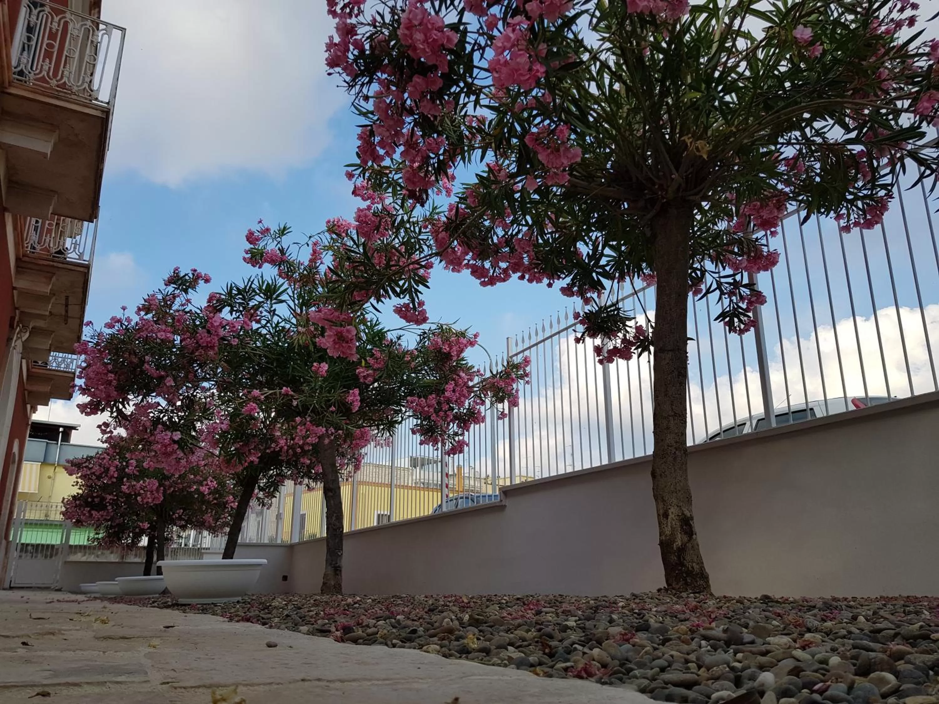 Other in Dimora D'Amato