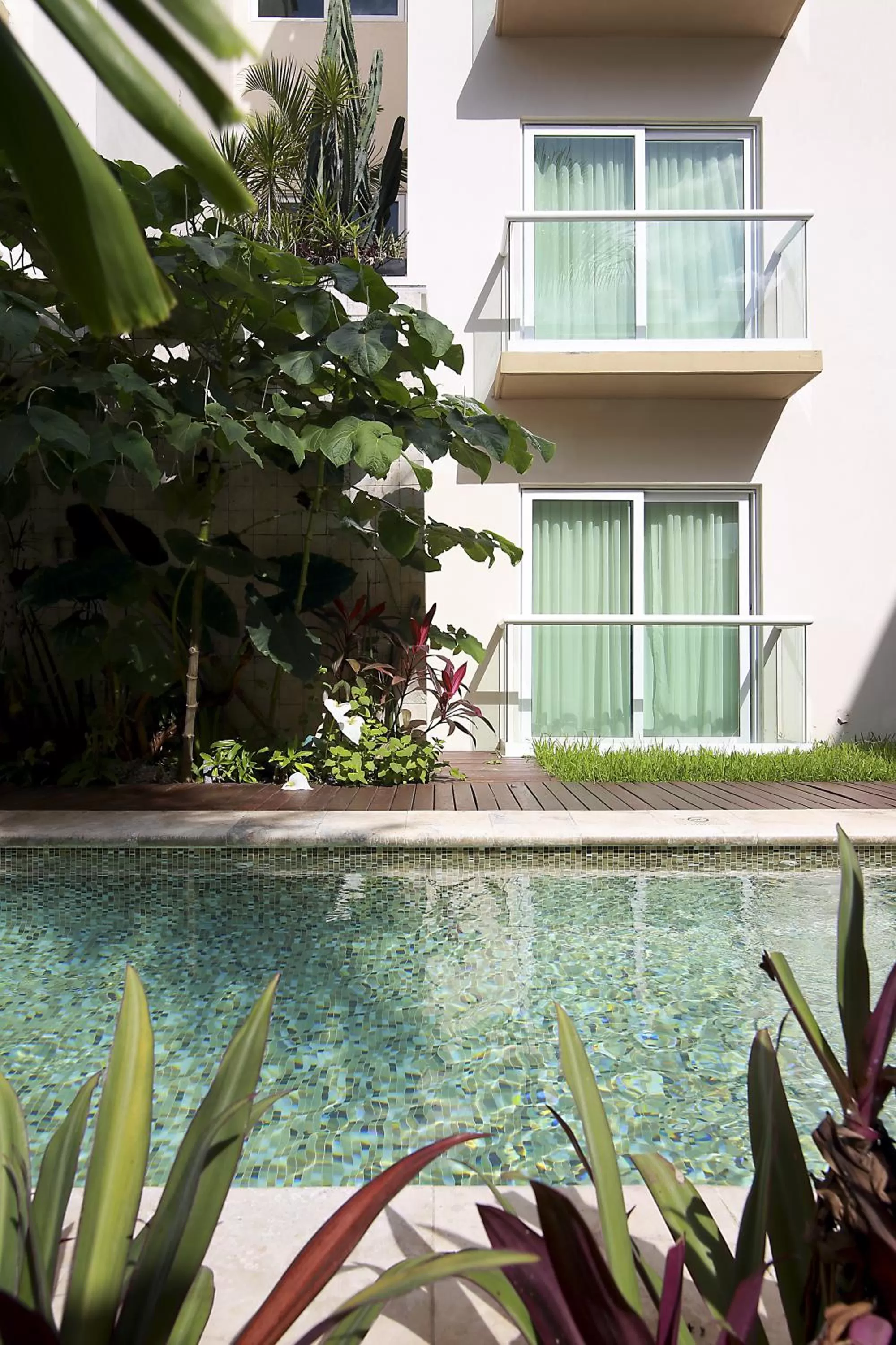 Swimming pool in Wyndham Merida