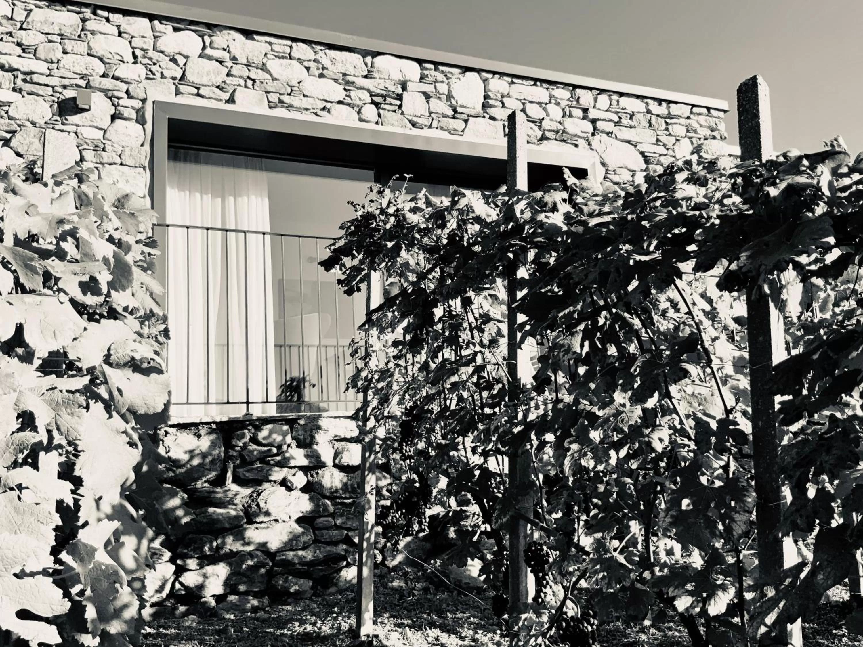 Property building in Cà Rossa #panoramic suite