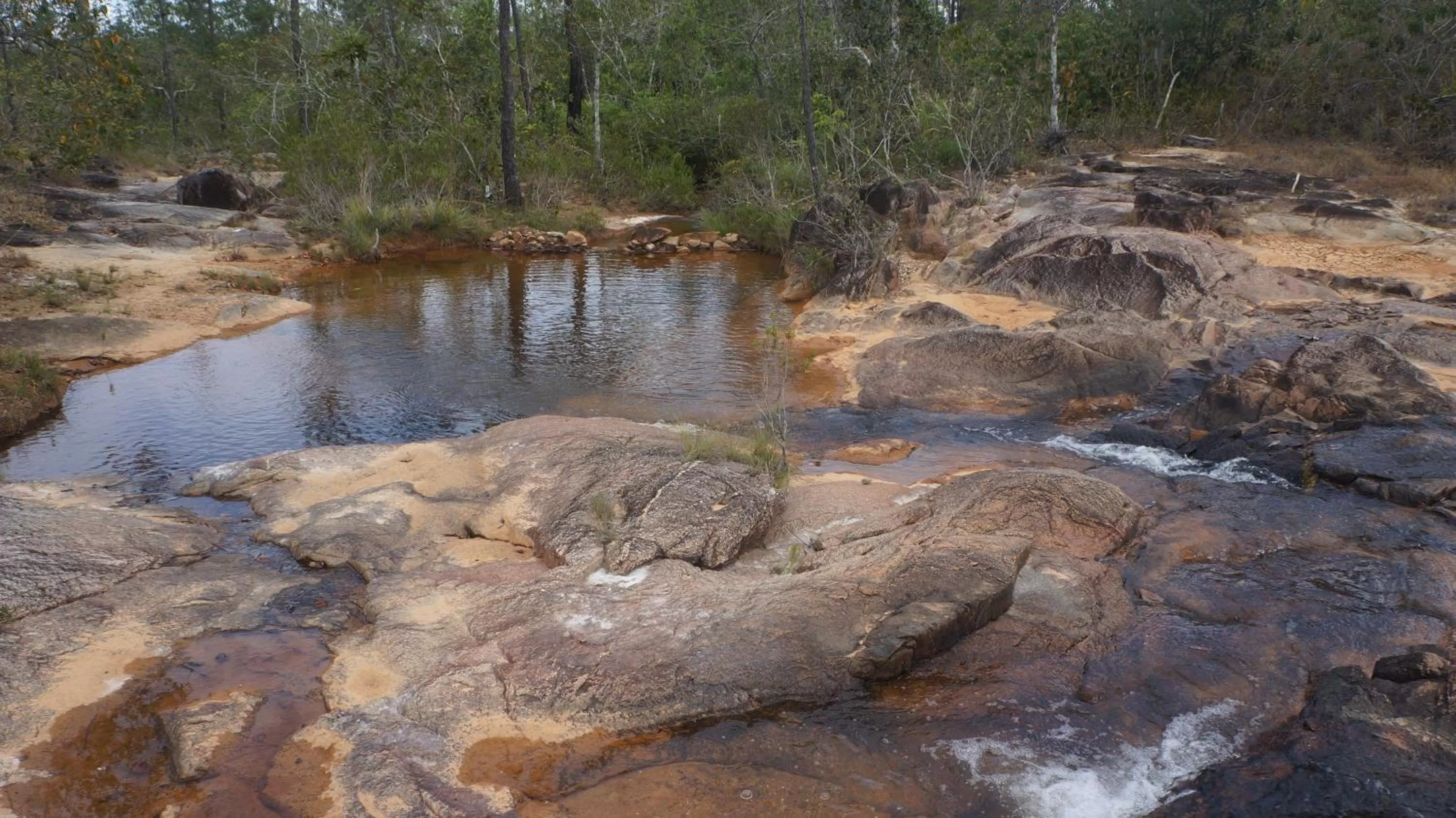 Property building, Natural Landscape in Pine Ridge Lodge