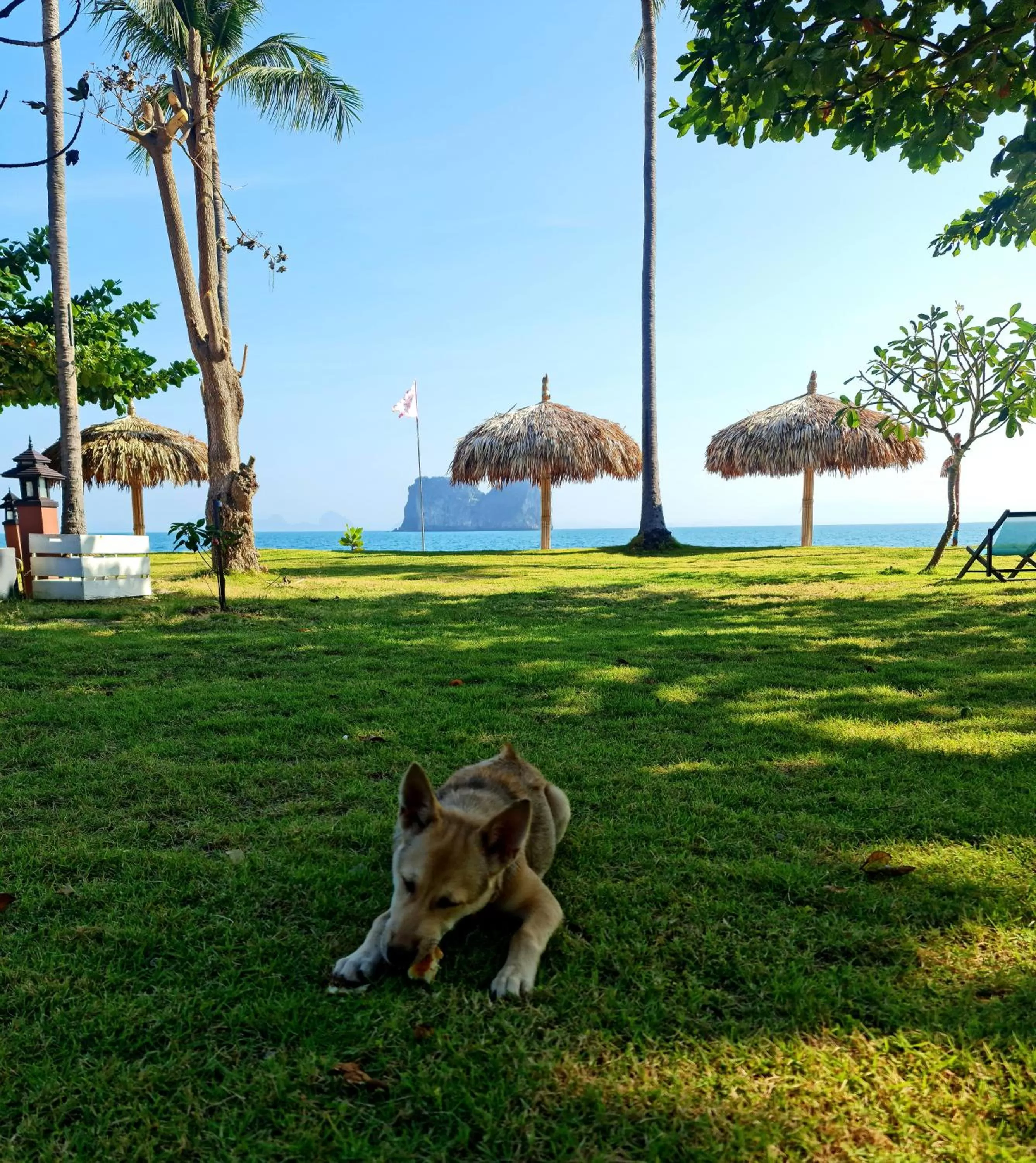 Garden in Thanya Beach Resort - SHA Plus