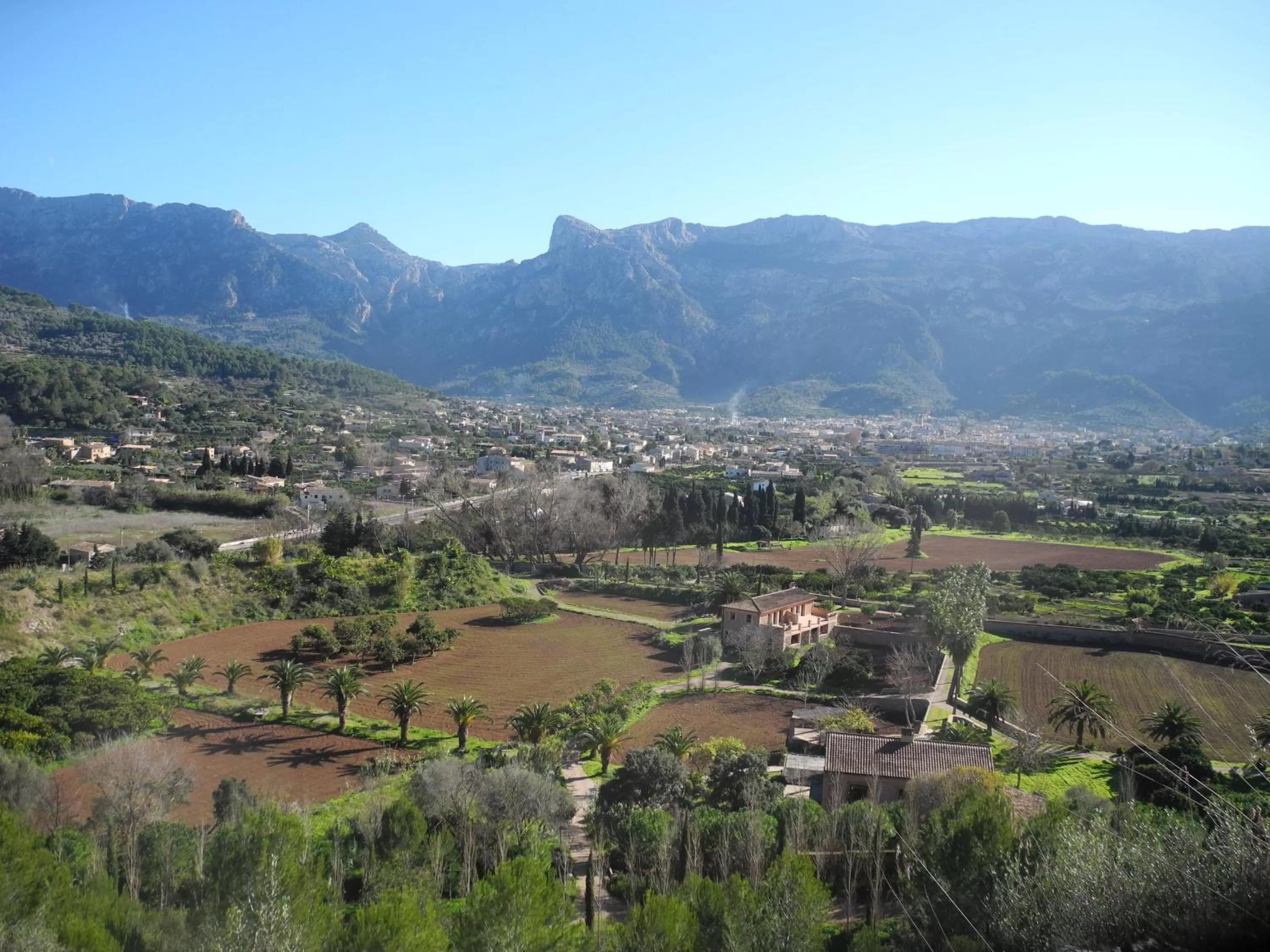 Area and facilities in Hotel Casa Bougainvillea