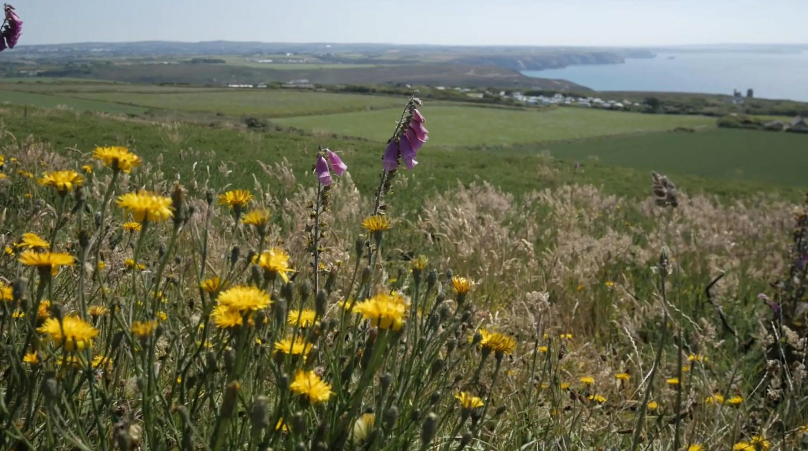 Natural landscape in Beacon Country House B & B & Luxury Shepherd Huts