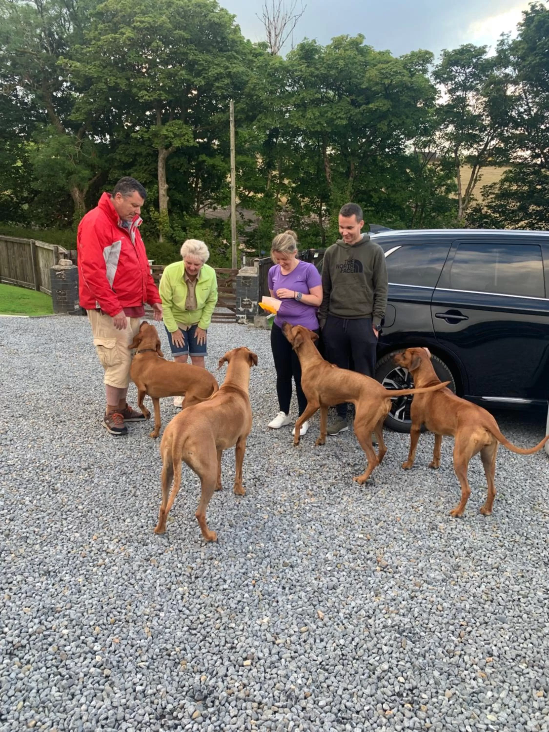 People, Other Animals in Beudy Bach