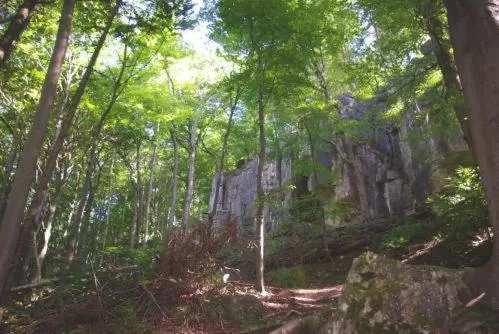 Land-gut-Hotel Räuber Lippoldskrug