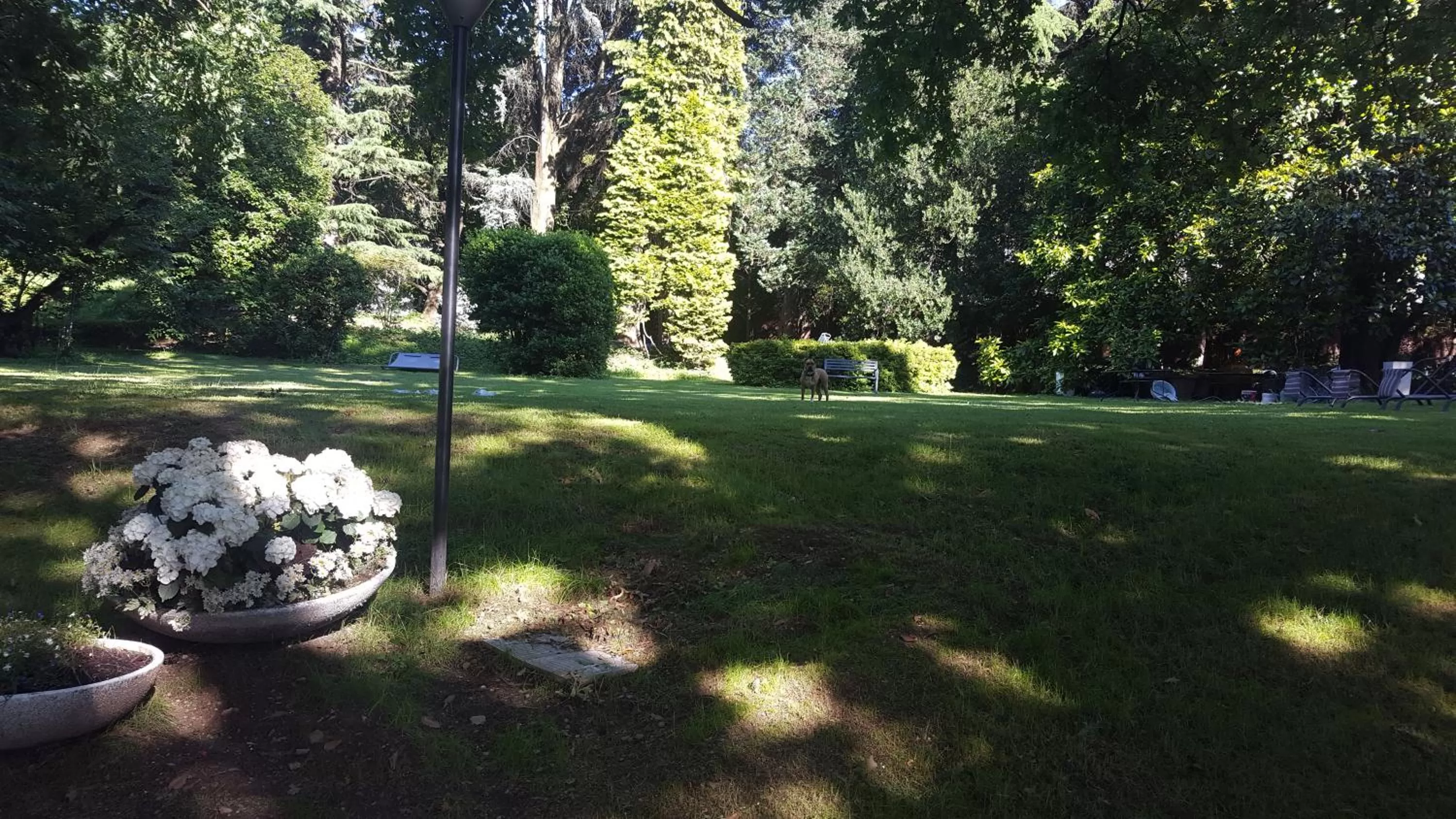 Garden view in "La Selvetta" bed and breakfast