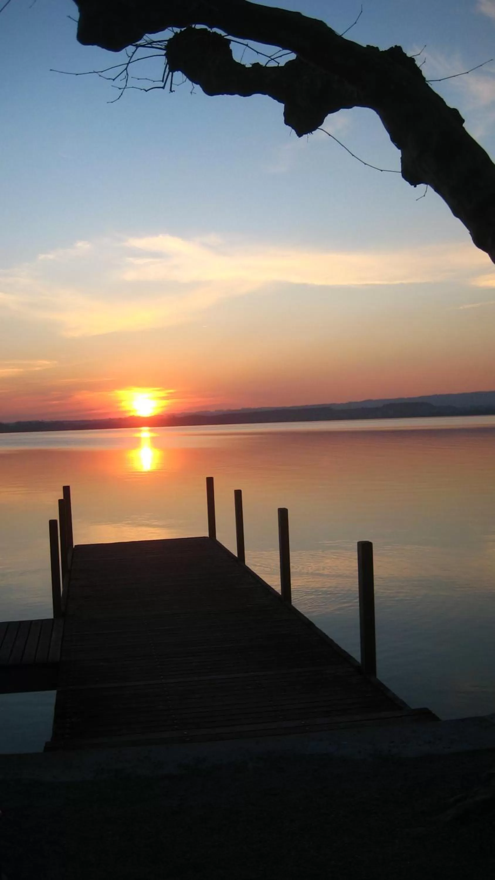 Natural landscape in City-Hotel Ochsen