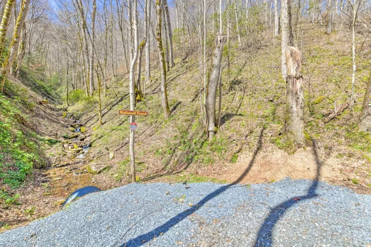 The Lodge Nantahala River