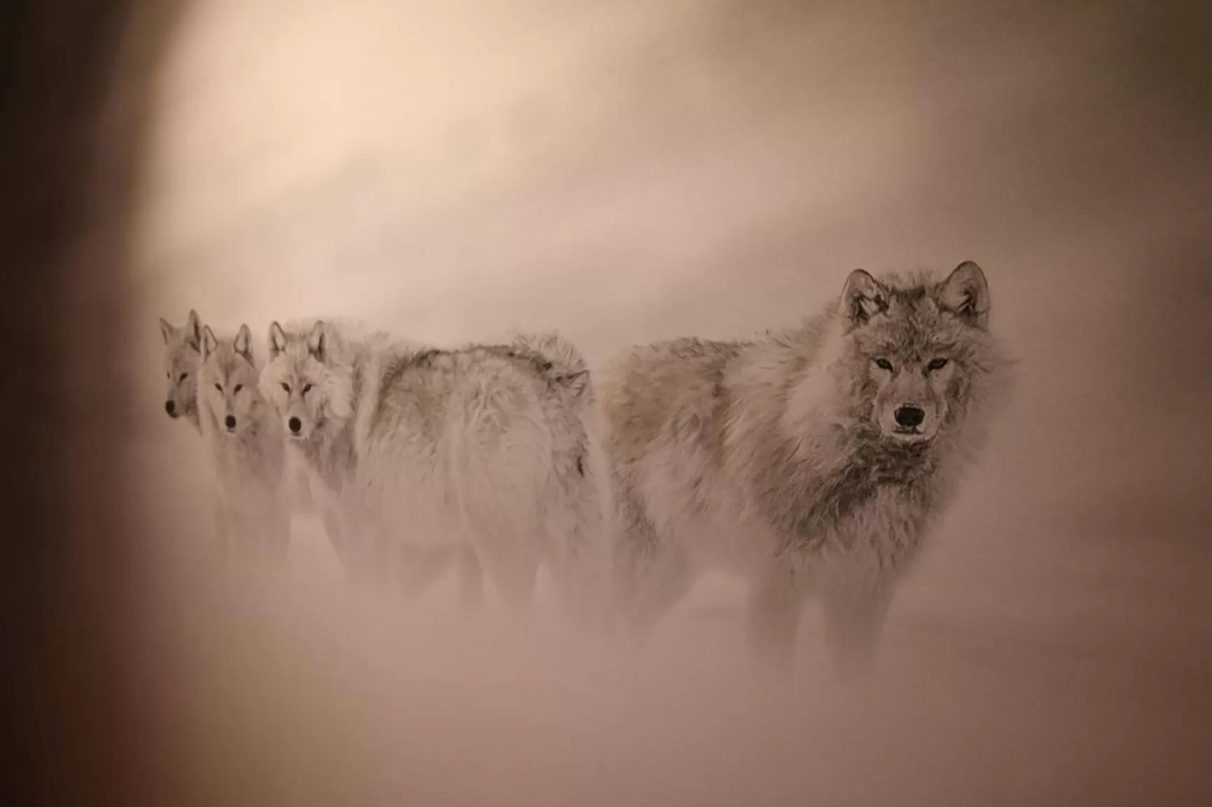 Decorative detail in Les Loges Du Parc