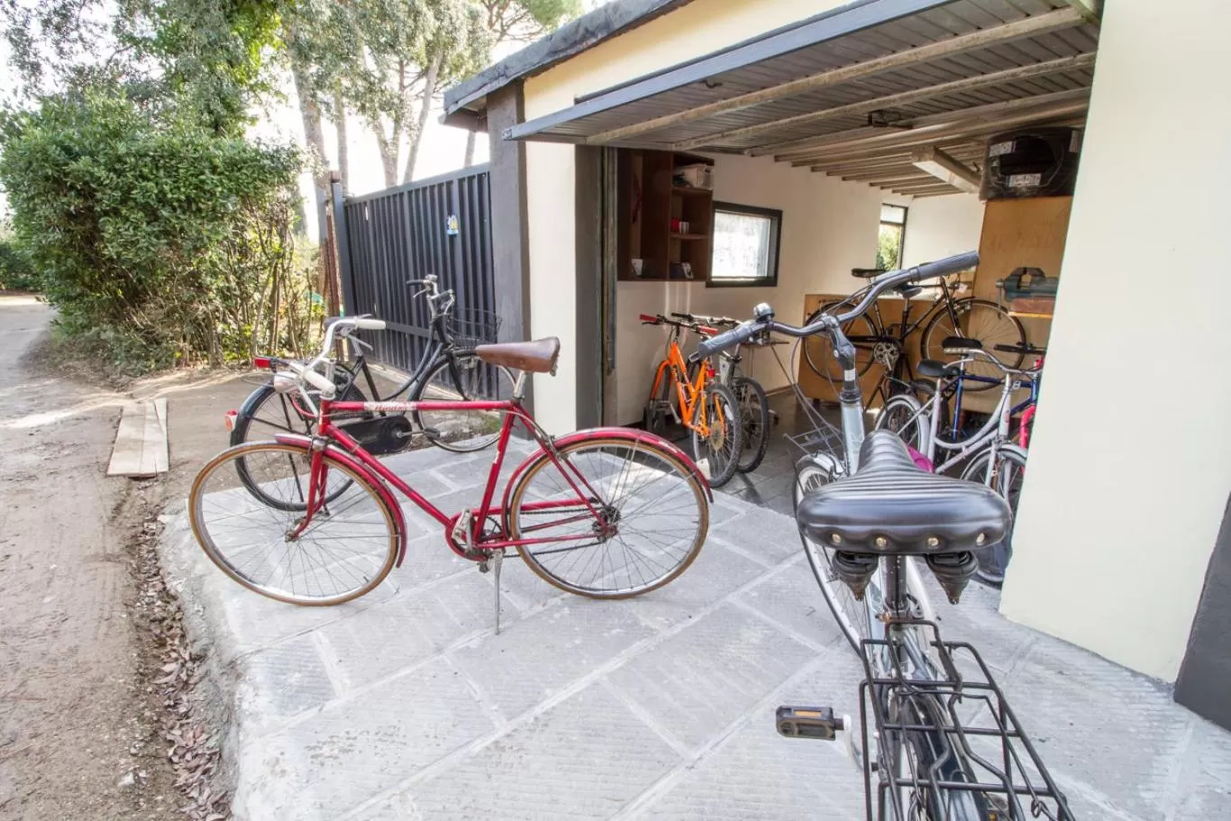 Cycling in B&B PALAZZI