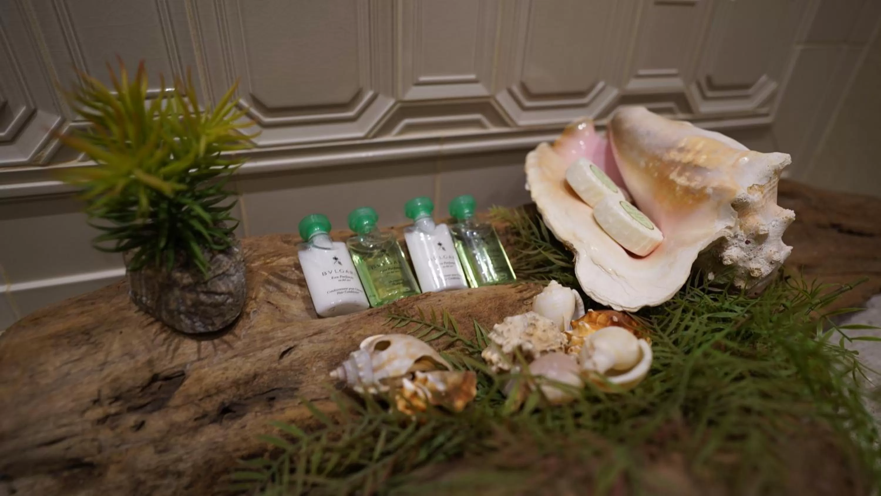 Shower in Hotel De La Soledad