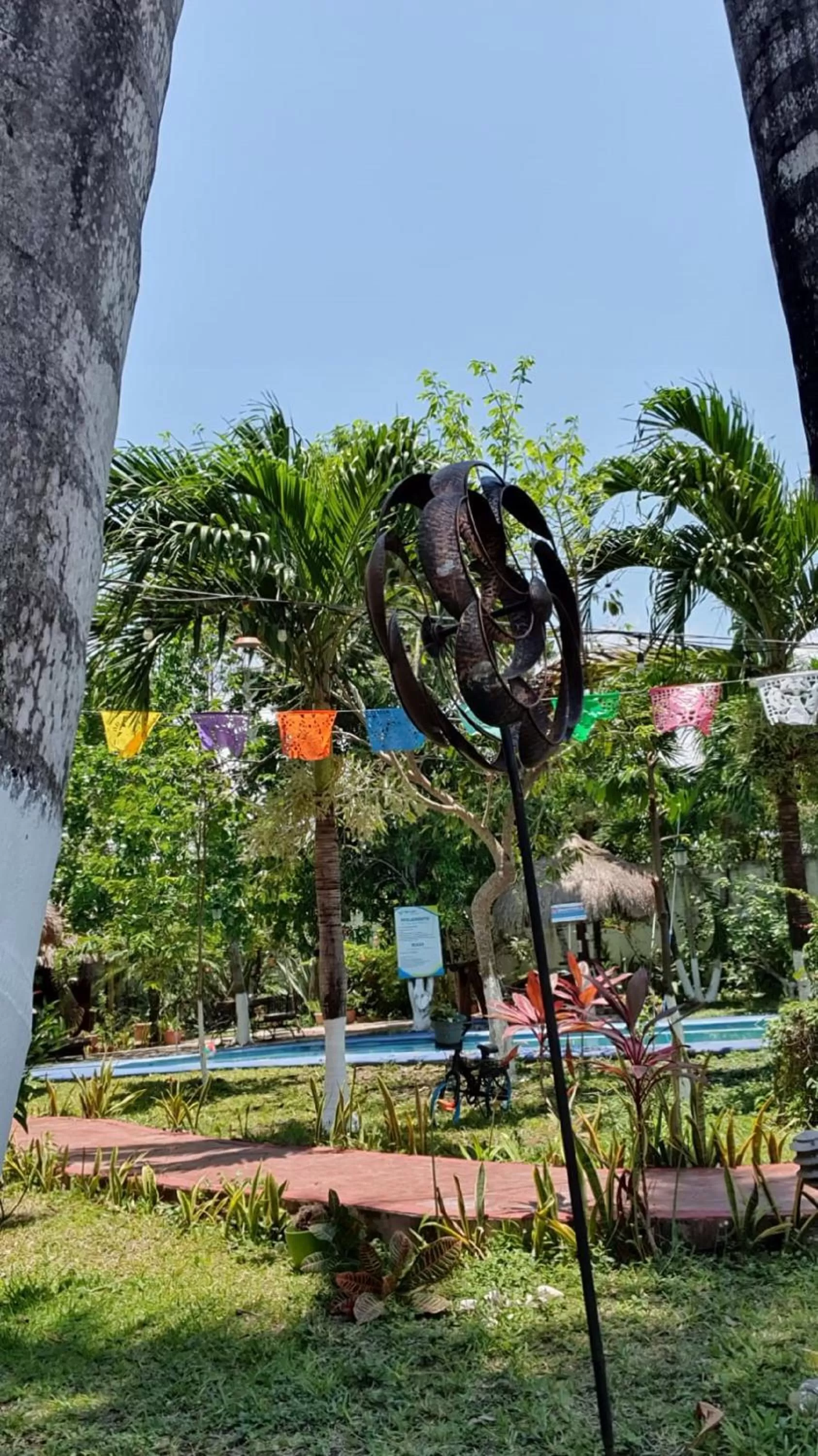 Spring in Cabañas Colibrí