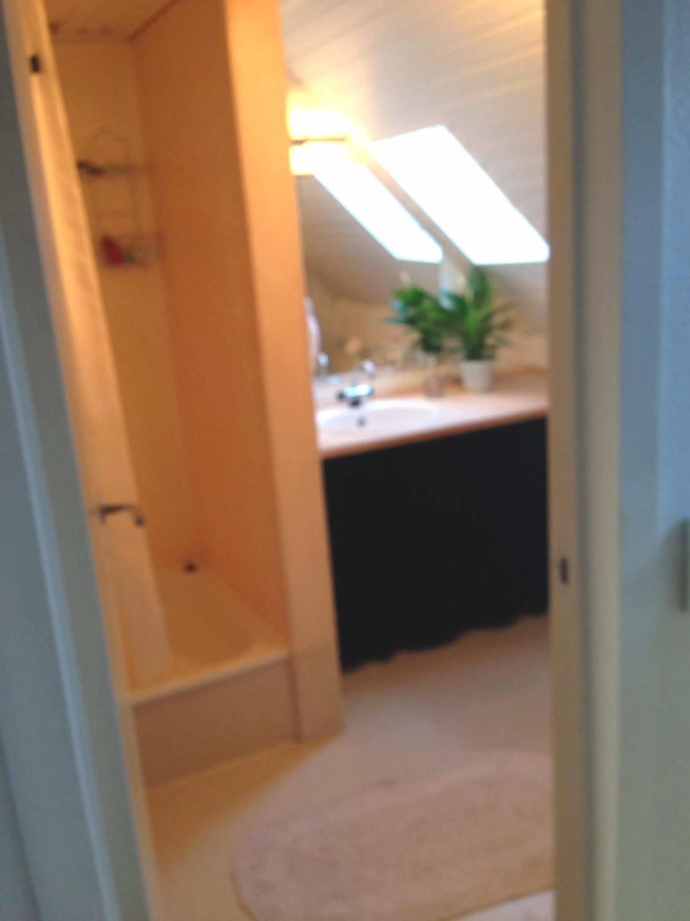 Shower in Struckshus