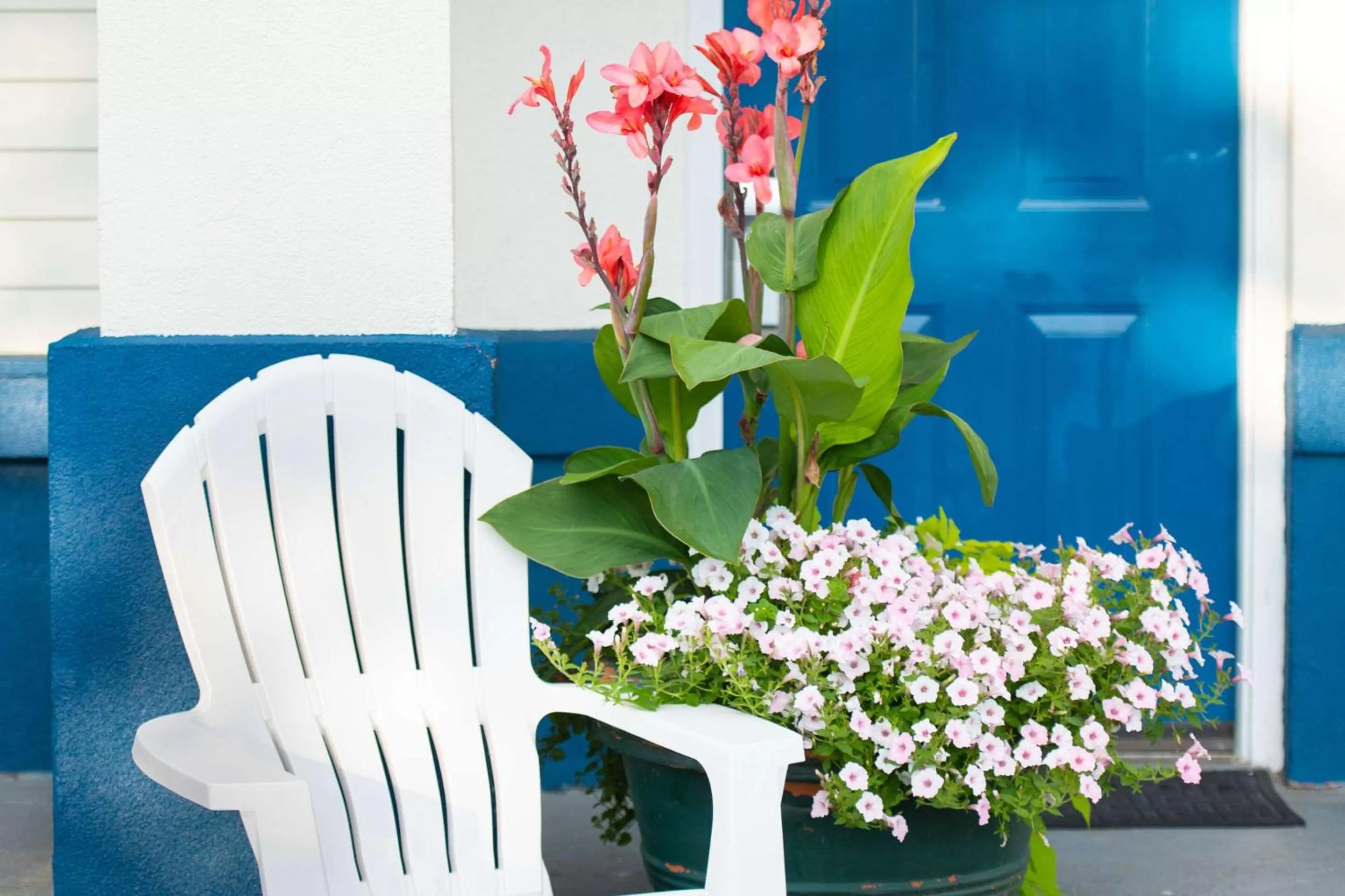 Property building in Rodeway Inn Middletown - Newport