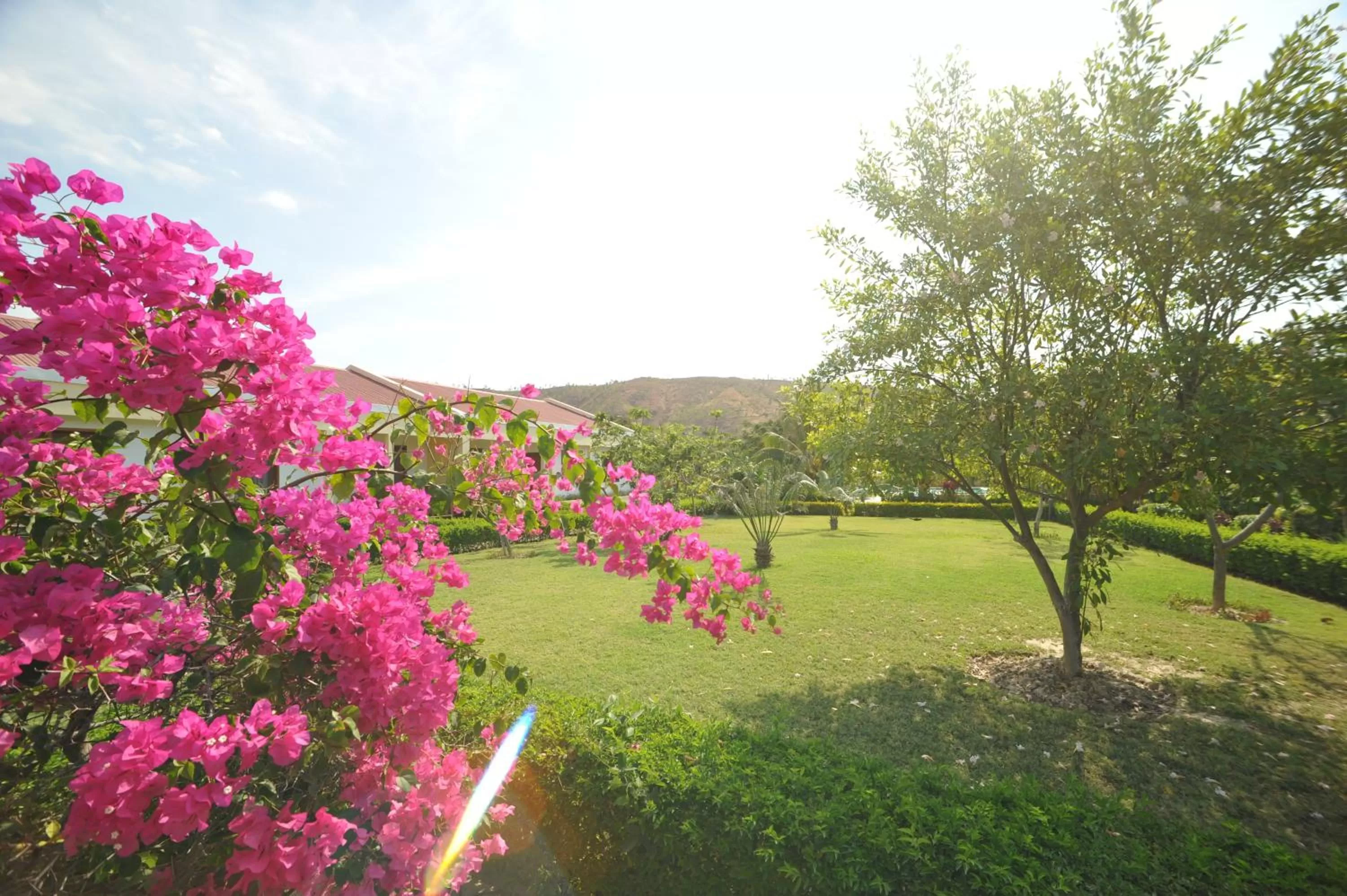 Garden in Malinamoc Paradise