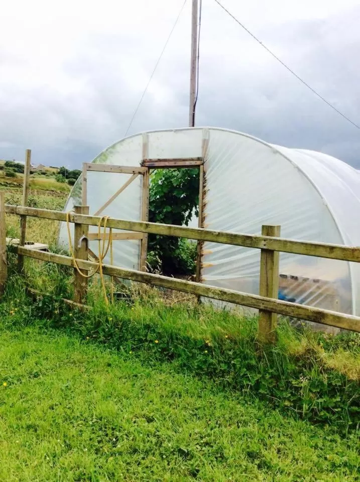 Property building in Holland House F94DP26