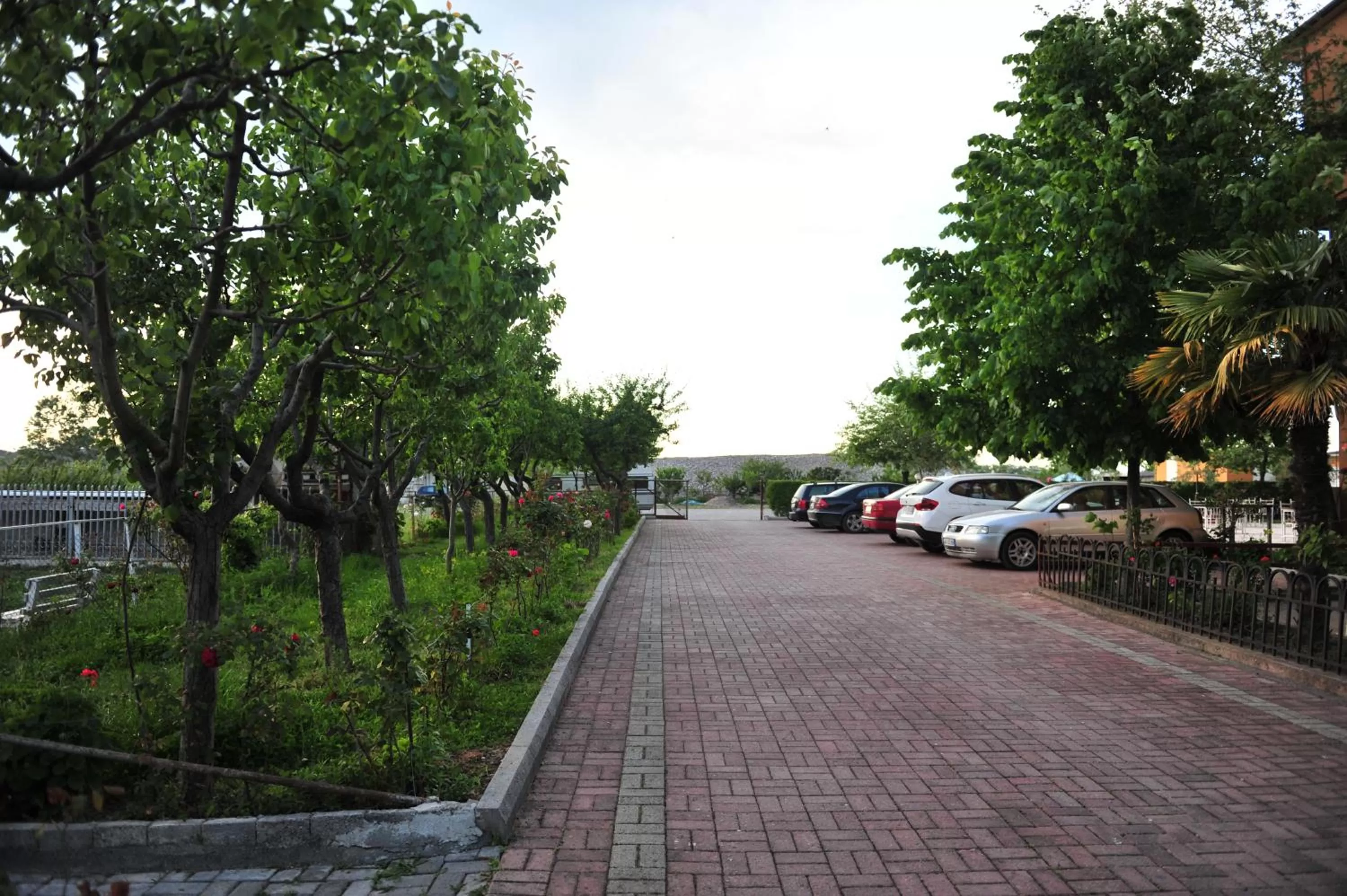 Garden in Hotel Blini