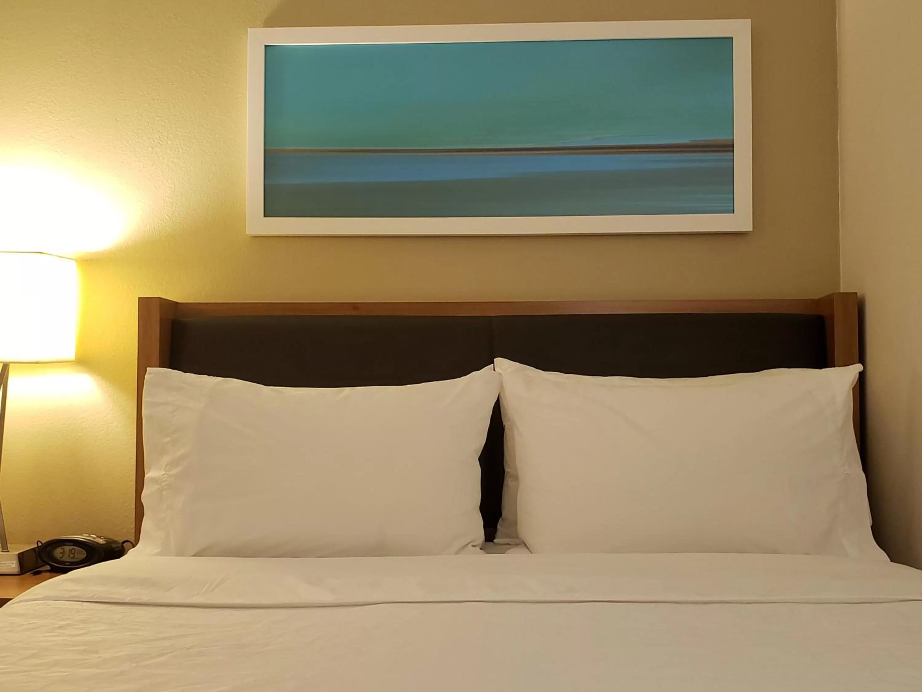 Photo of the whole room, Bed in Holiday Inn Express Hotel Pittsburgh-North/Harmarville by IHG