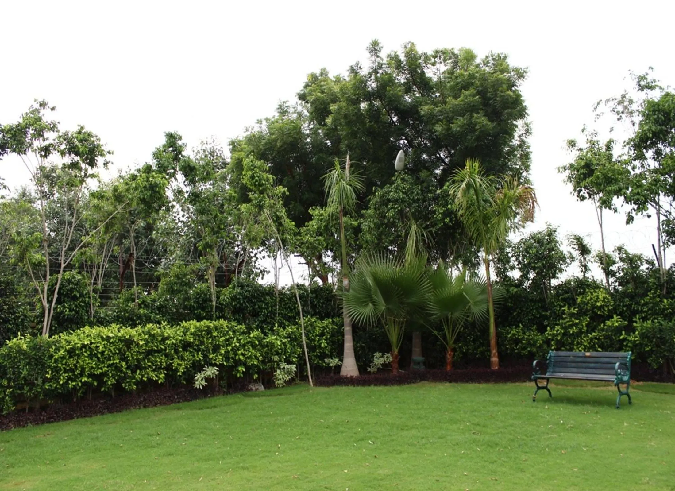 Garden view in Nidhivan Sarovar Portico Vrindavan