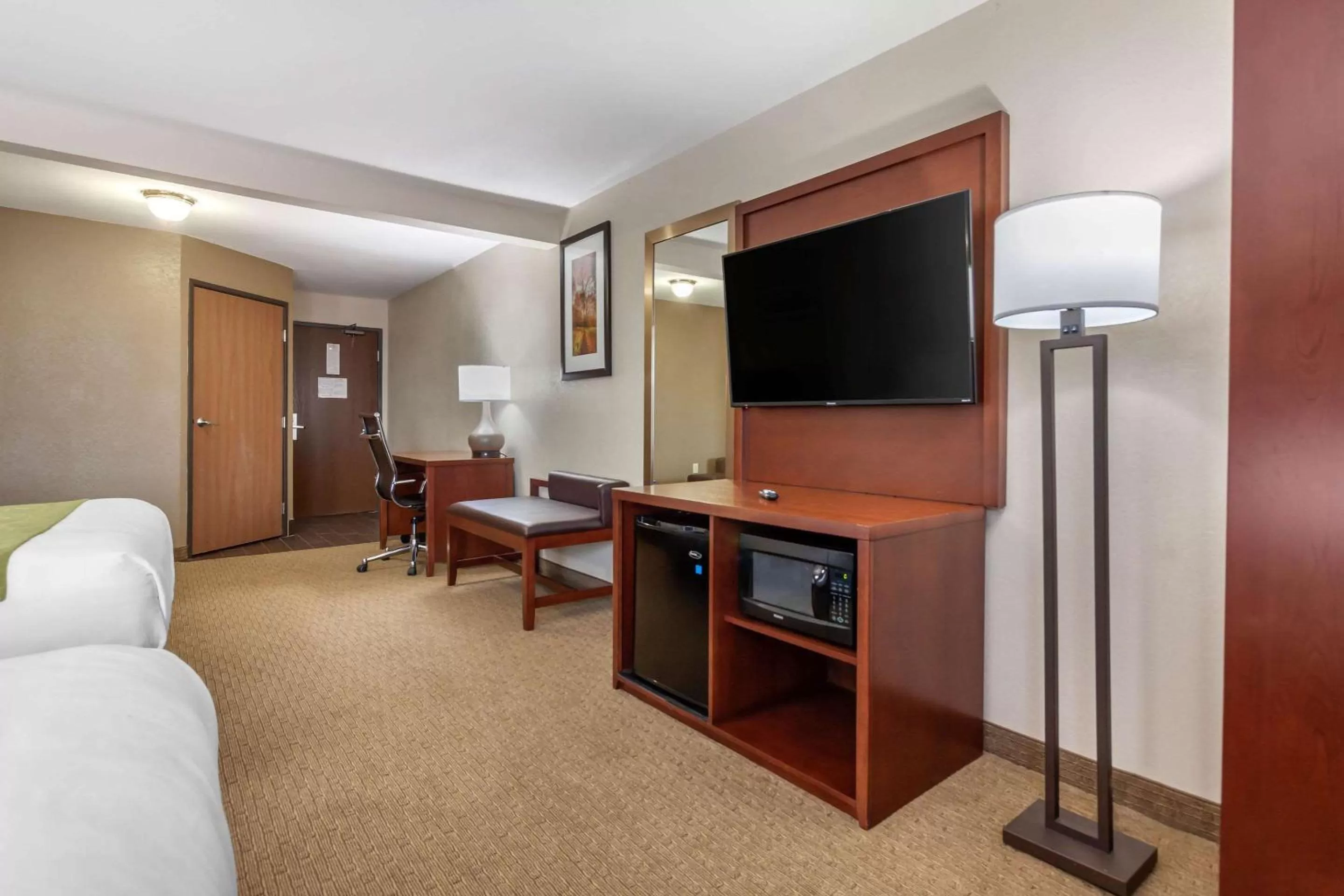 Photo of the whole room in Comfort Suites Omaha East-Council Bluffs