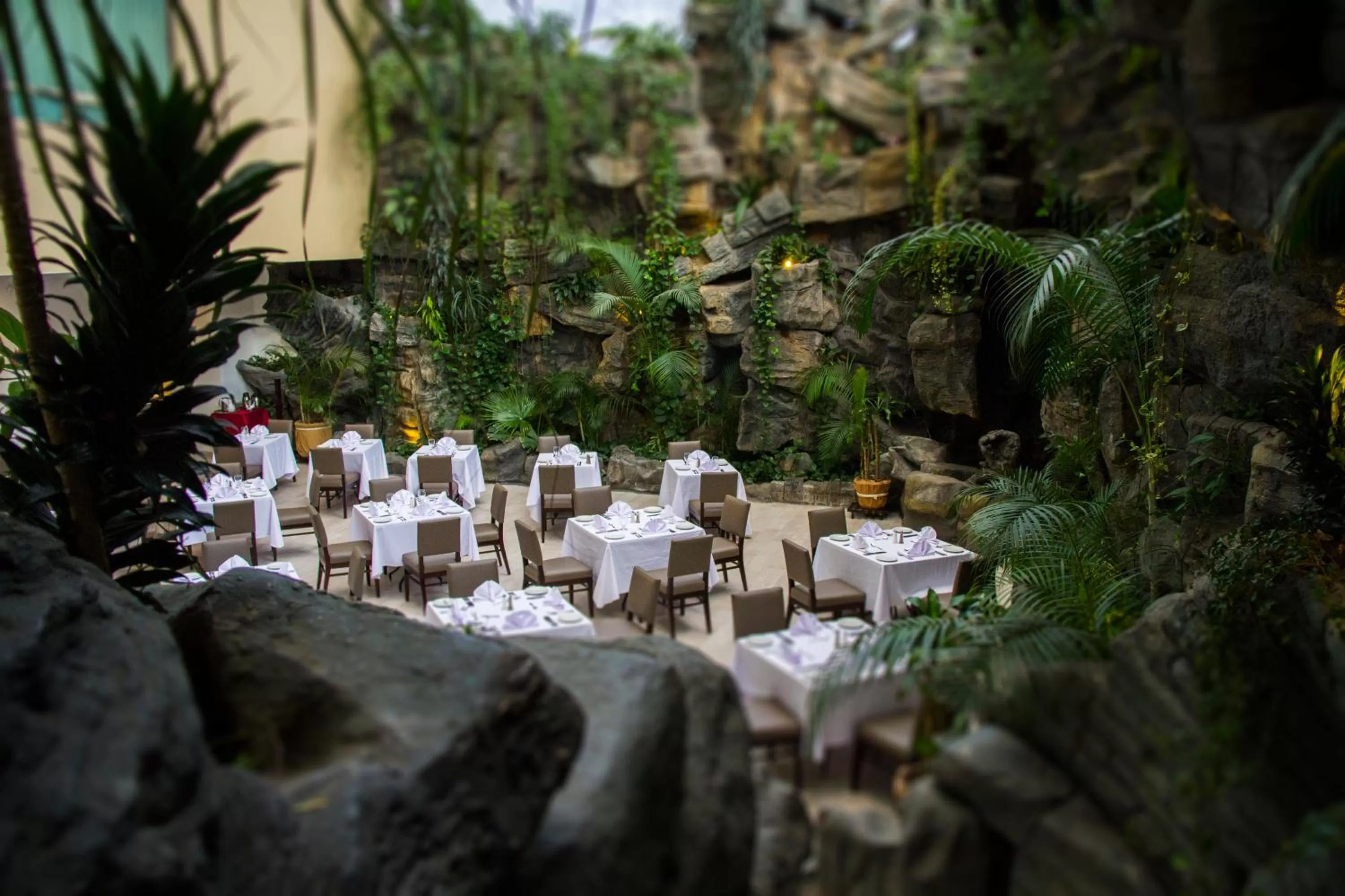 Restaurant/places to eat in Clarion Suites Guatemala City