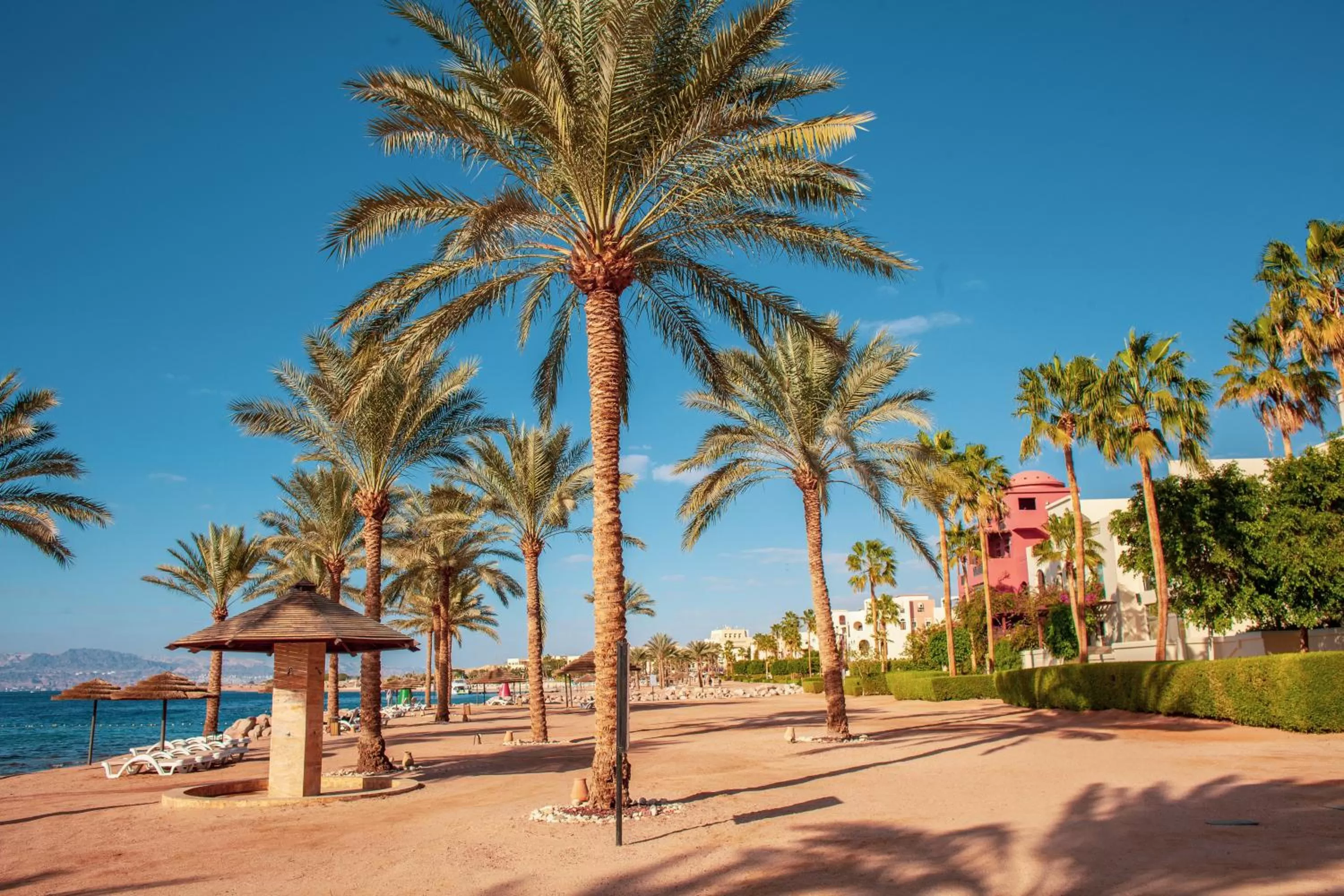 Spring in Tala Bay Residence - Families Only